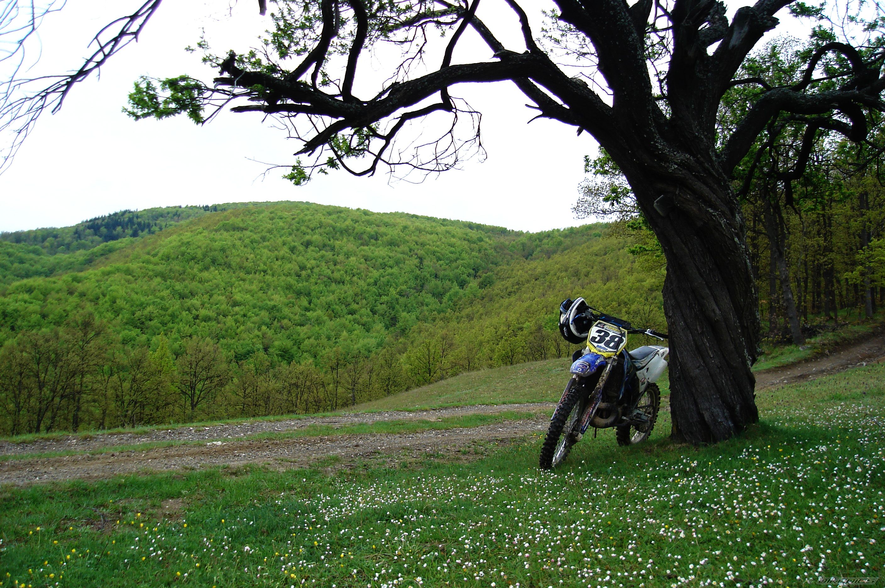 Bike Photo 2203805