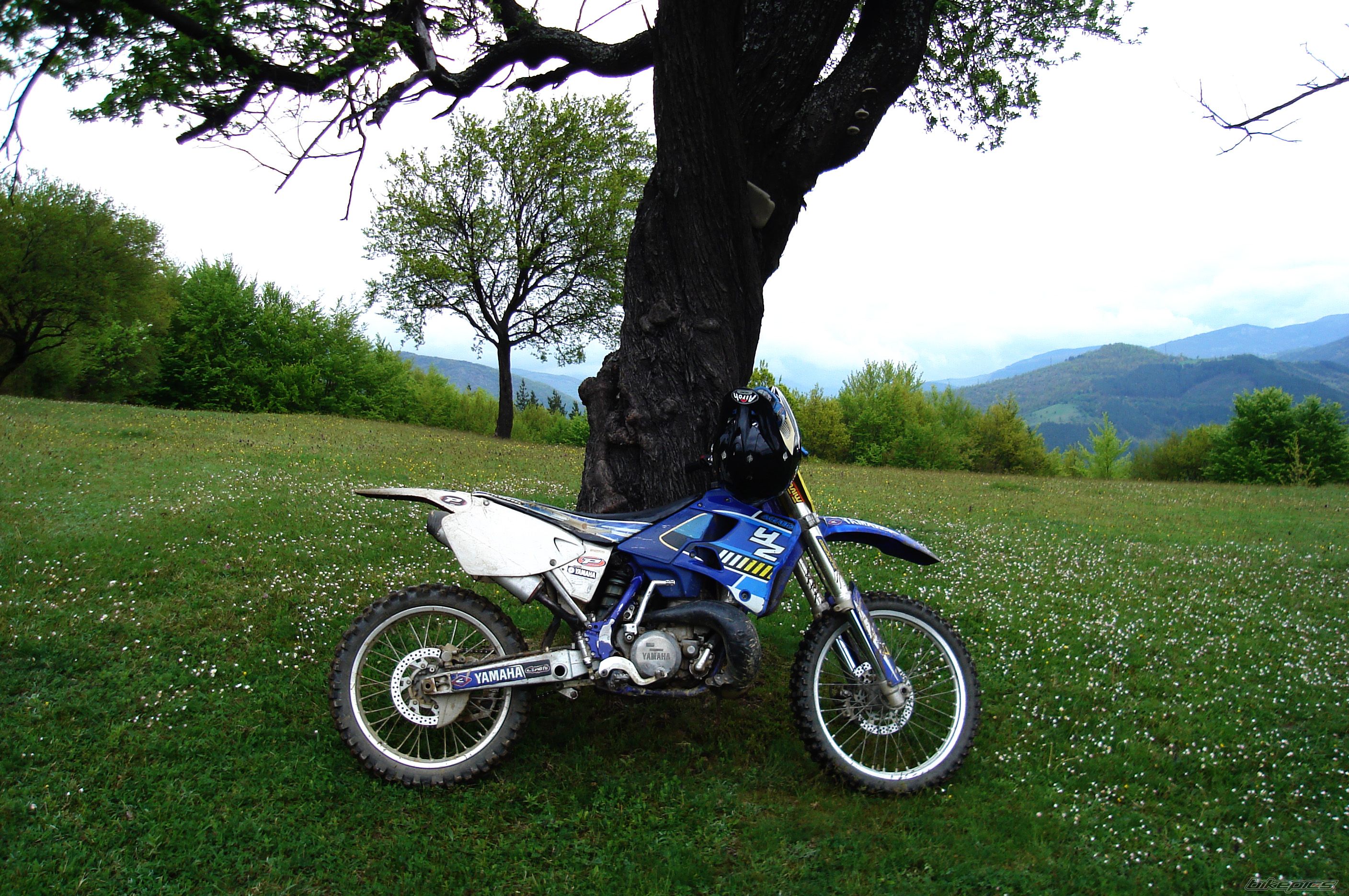 Bike Photo 2203807