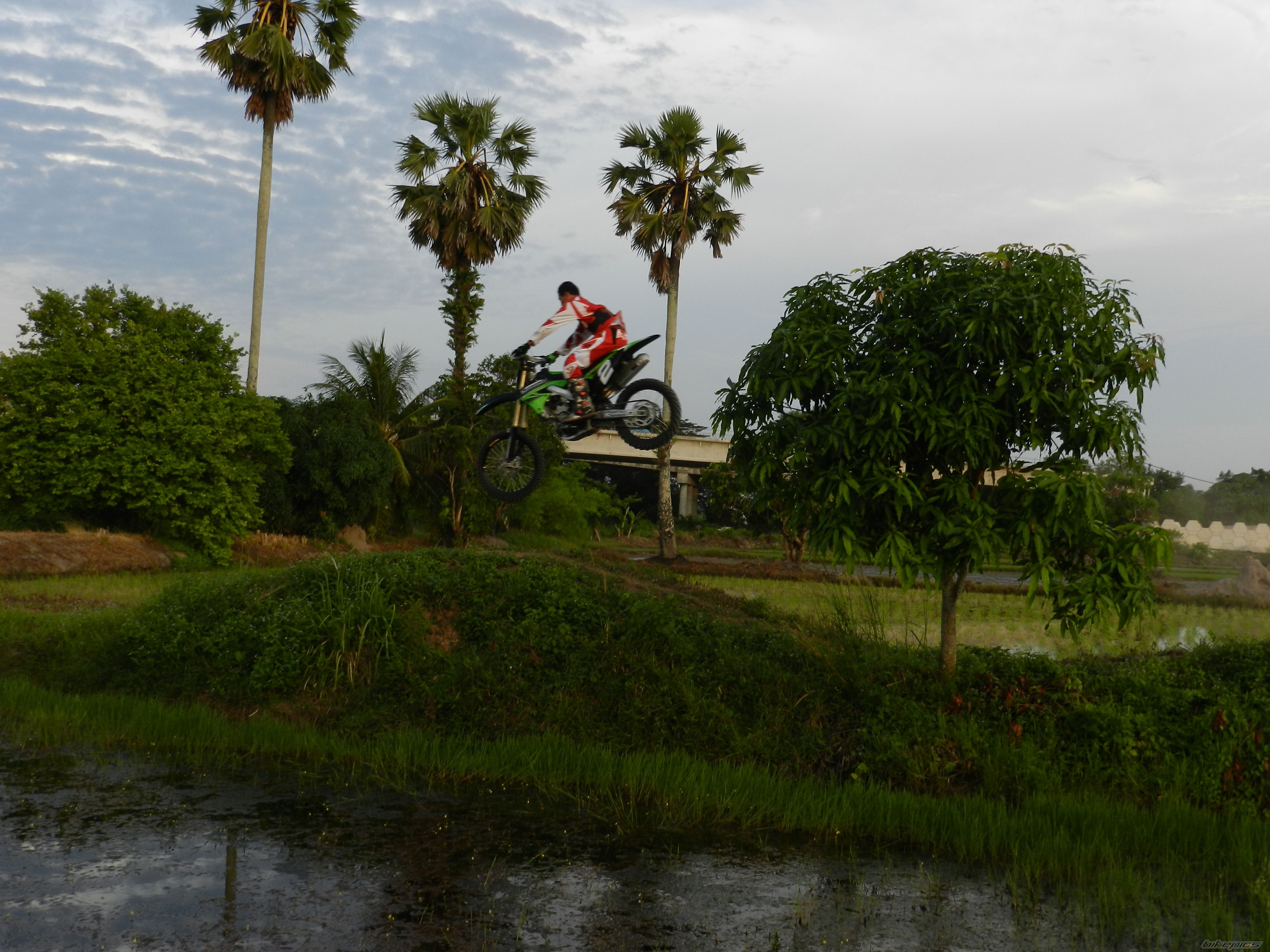 Photo 2203946