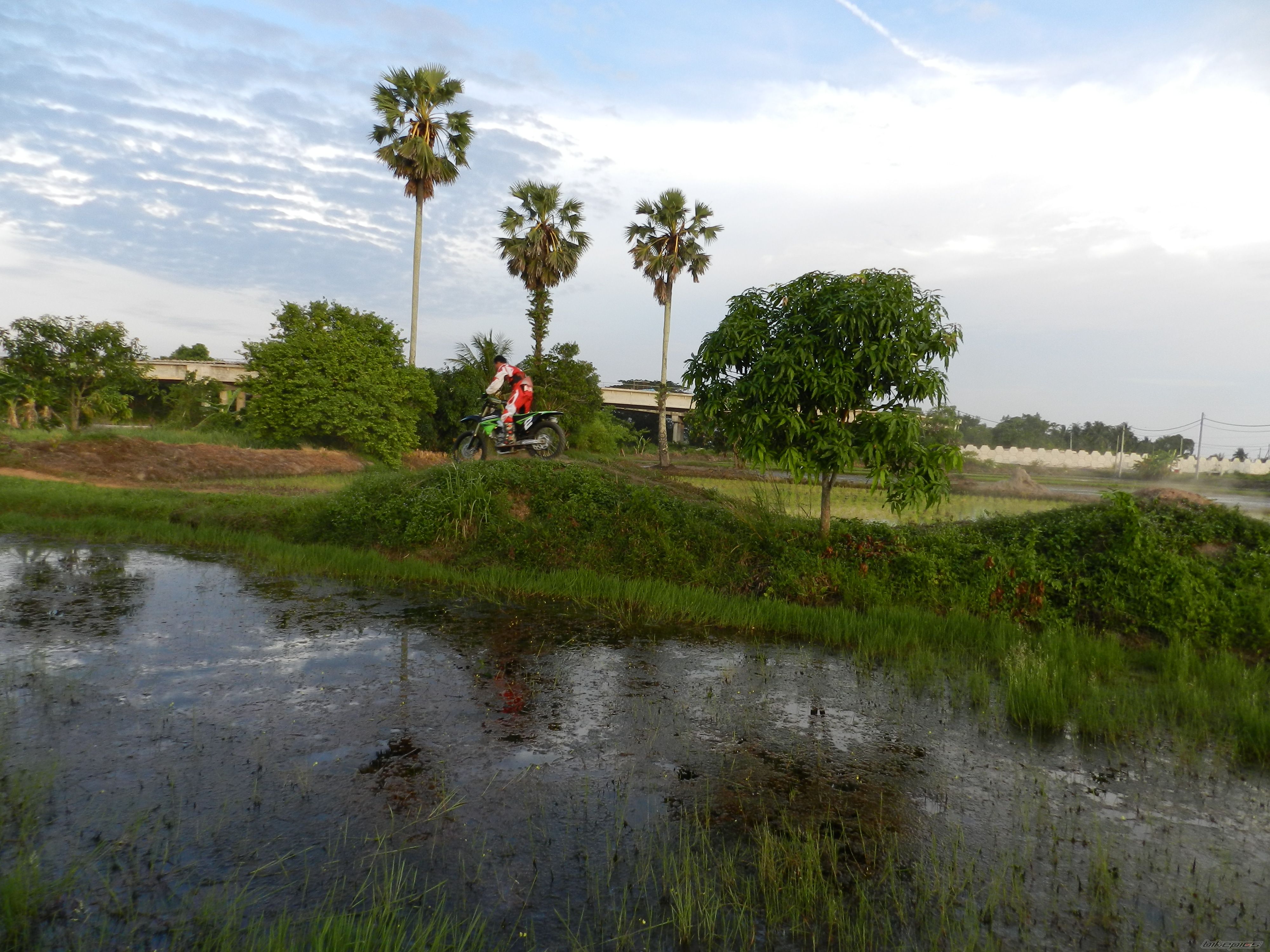 Photo 2203960