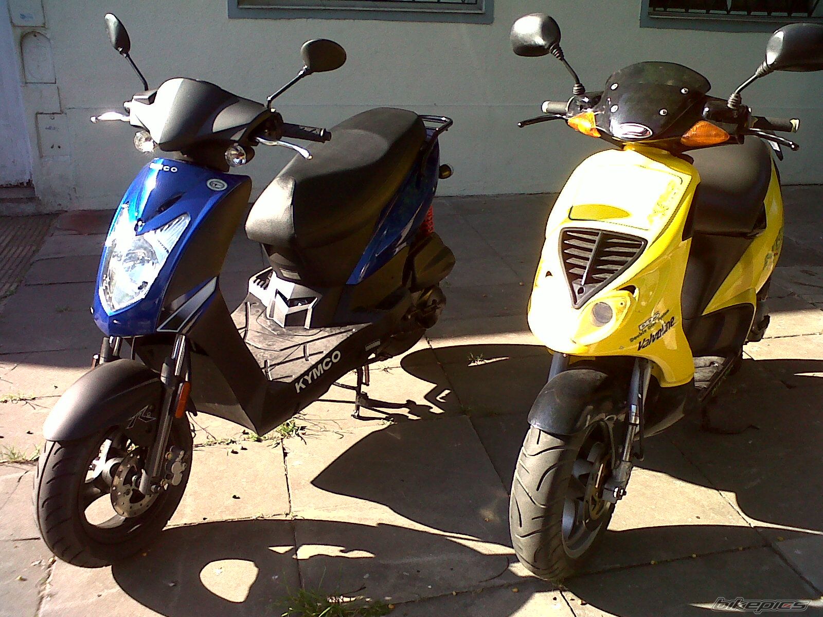 Photo 2204029