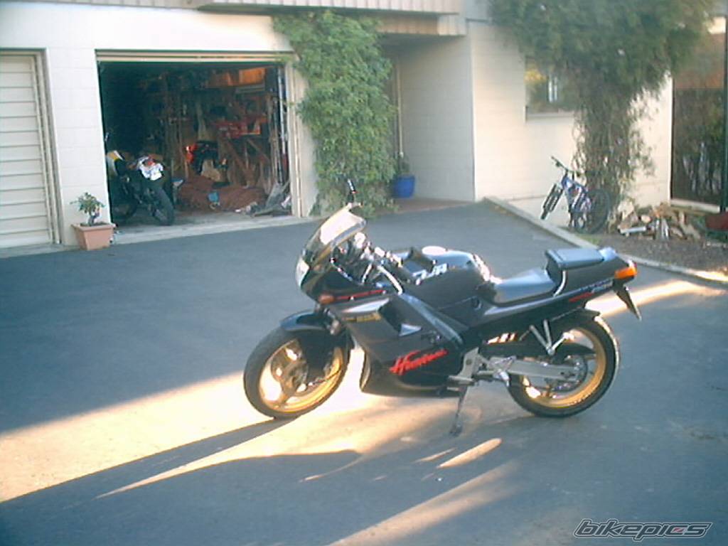 Photo 220412