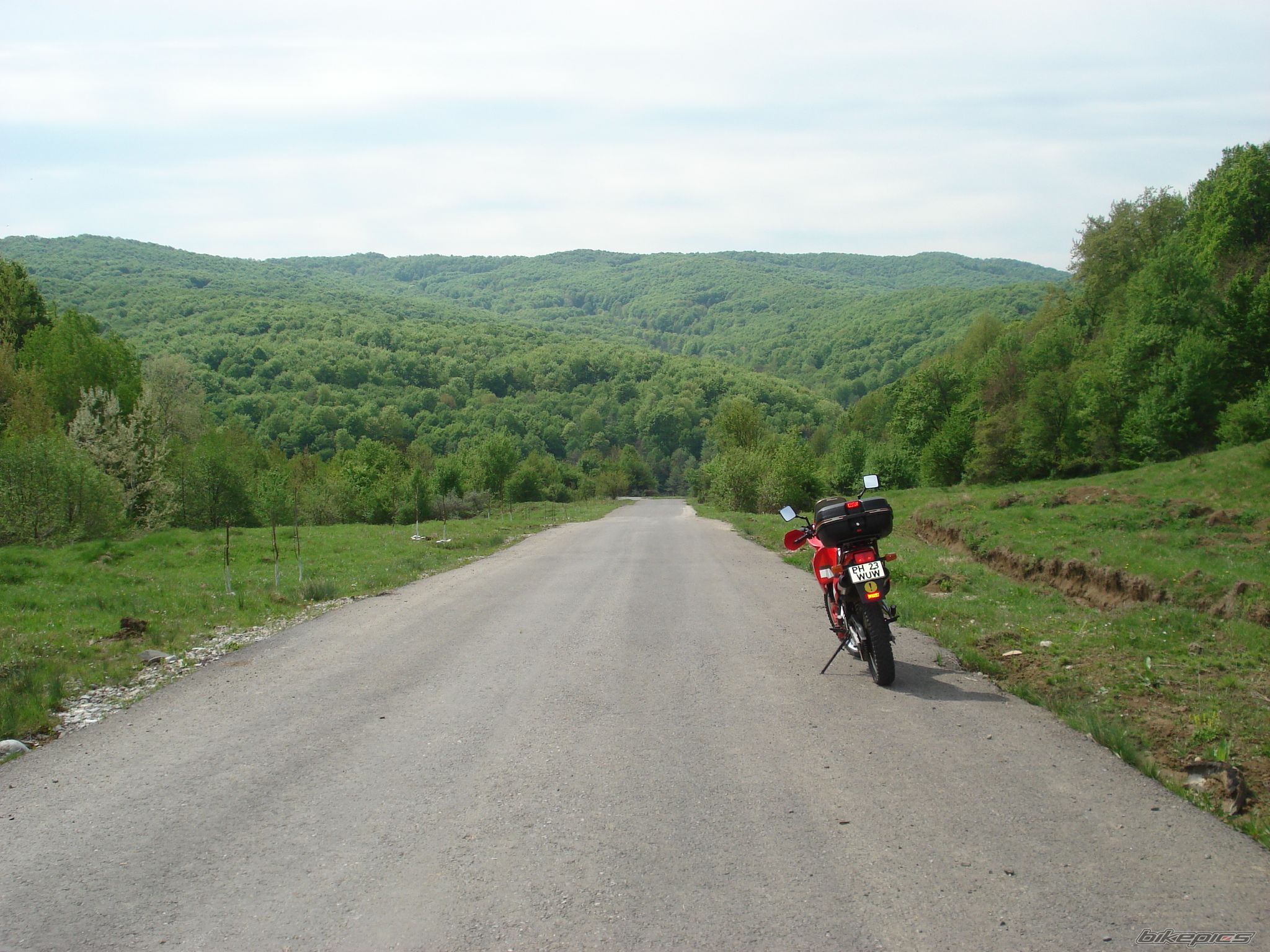 Photo 2204238