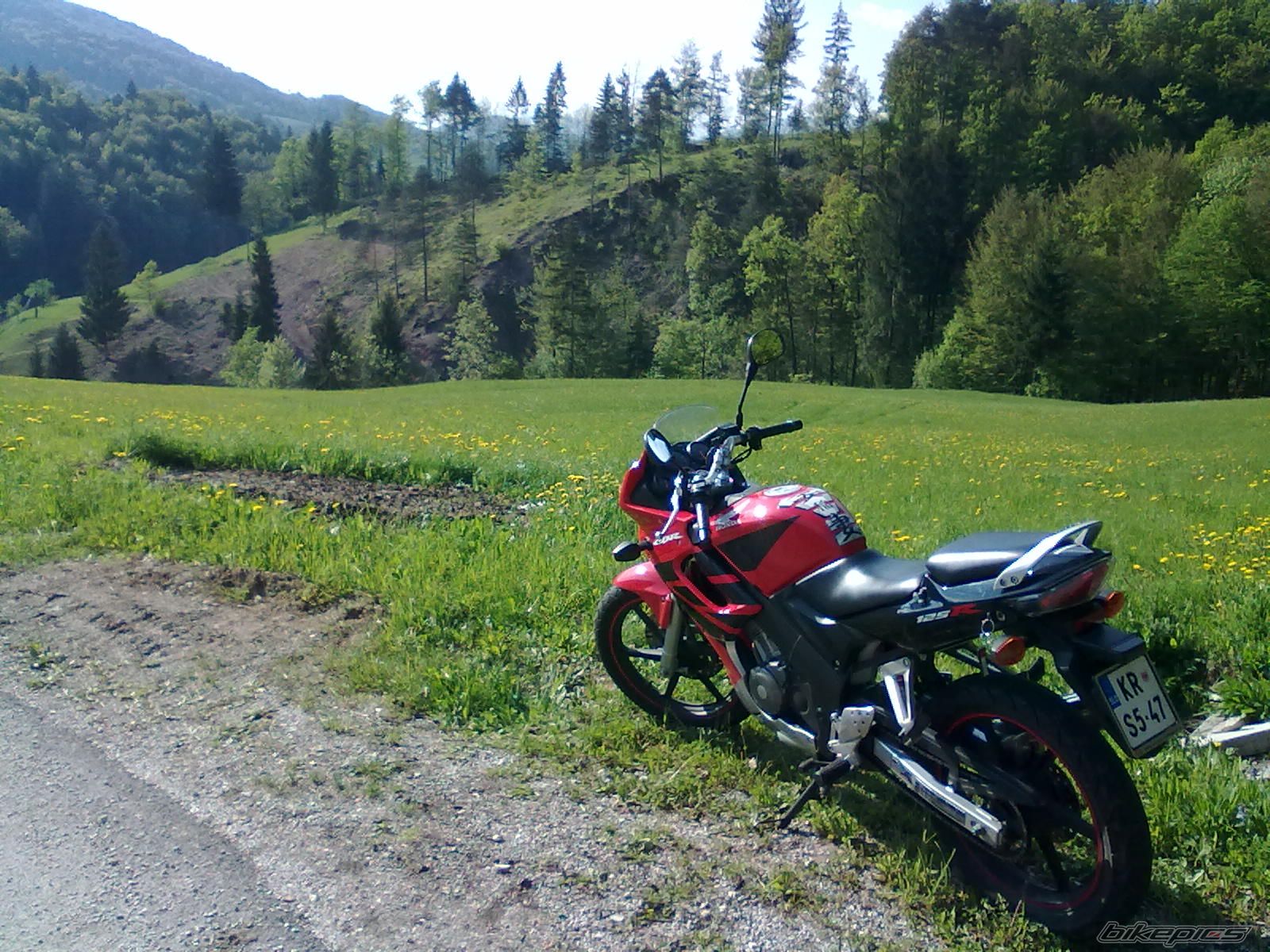 Photo 2204241
