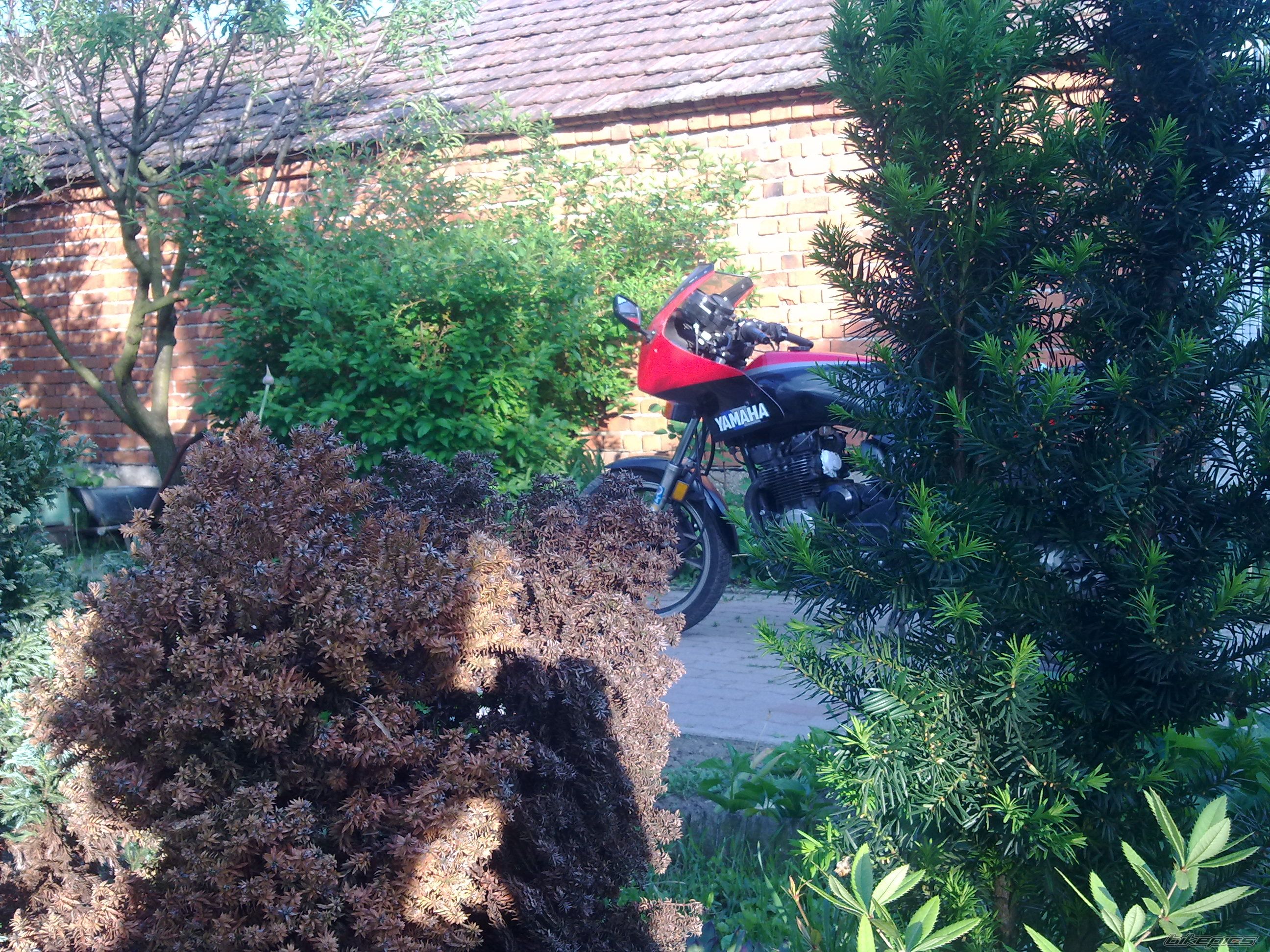 Bike Photo 2204317