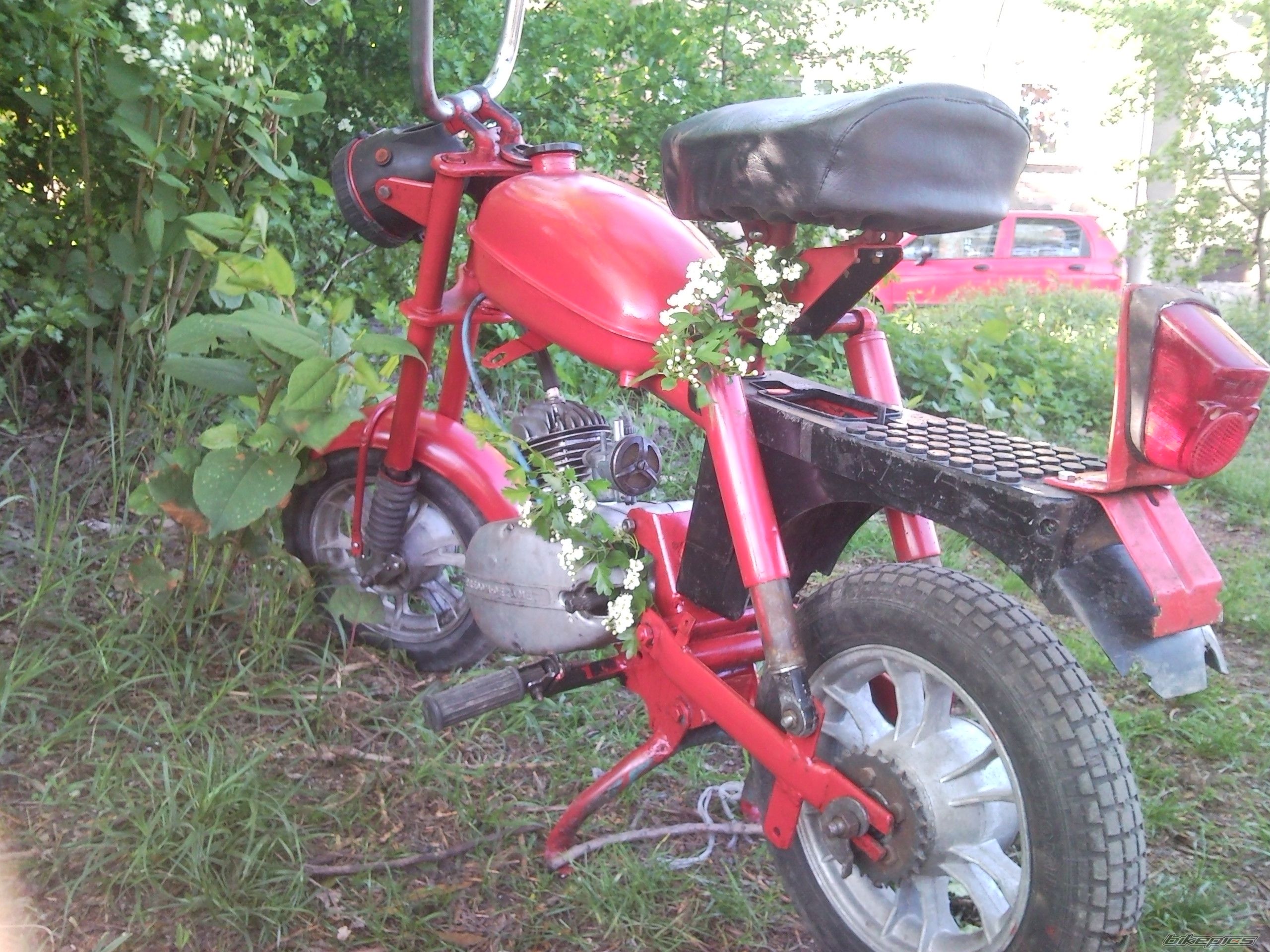Photo 2204333