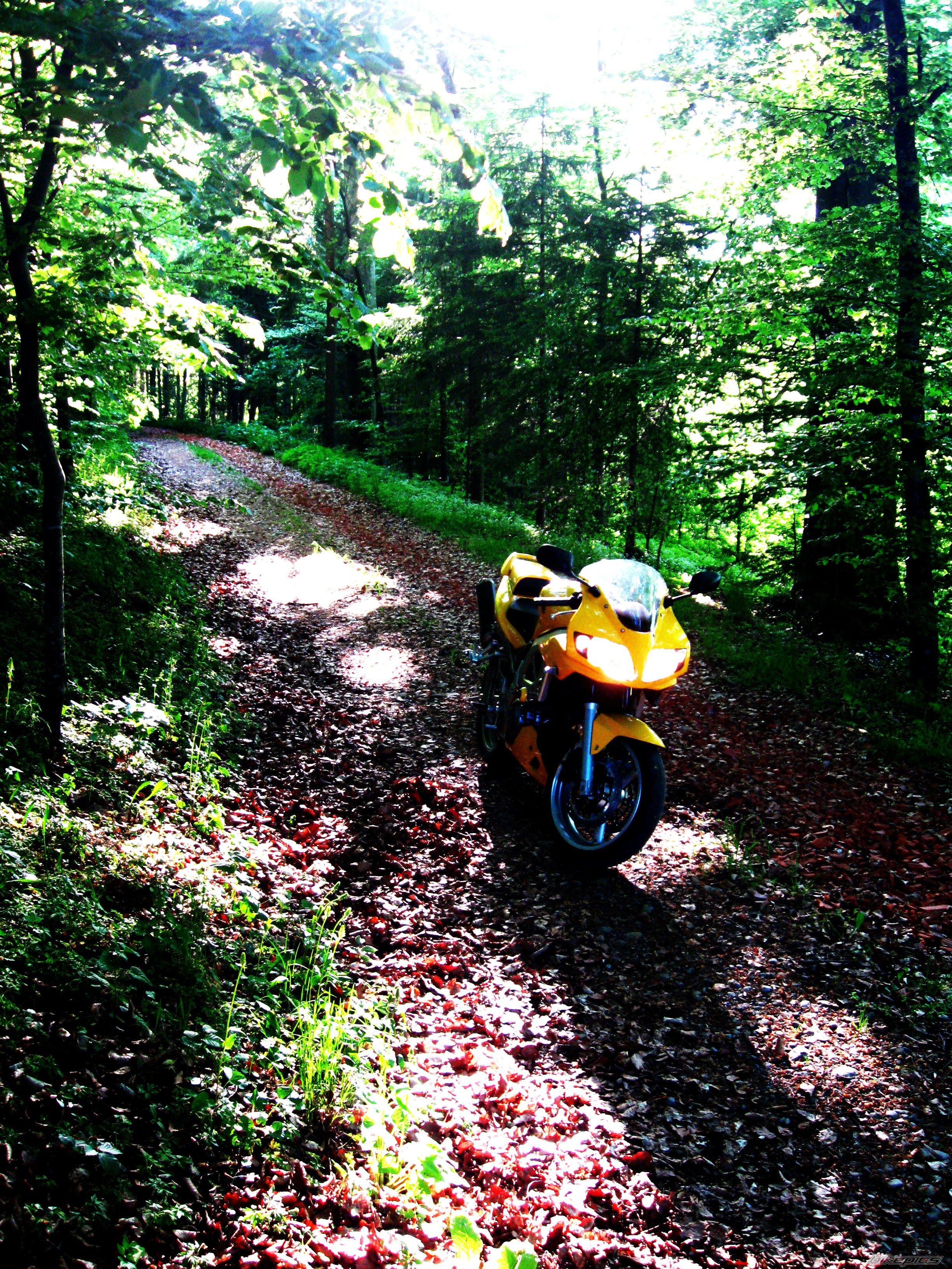 Bike Photo 2204342