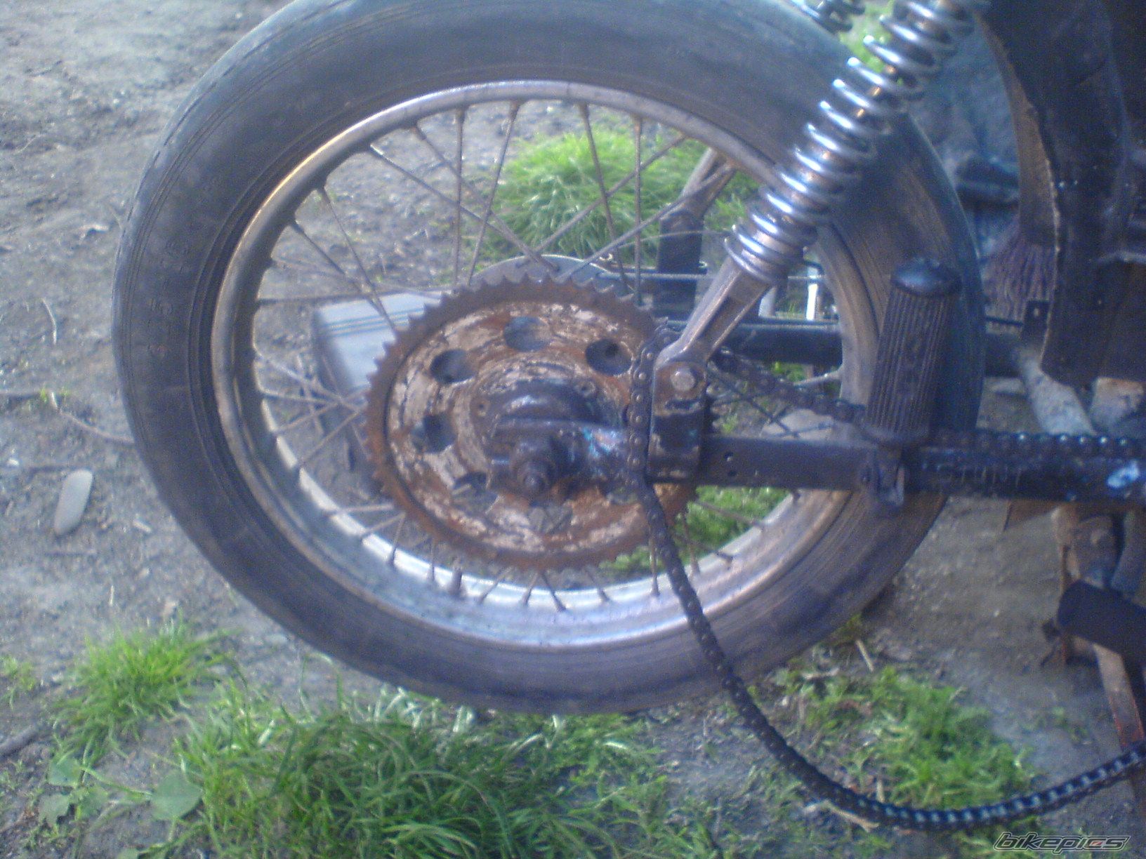 Photo 2204373