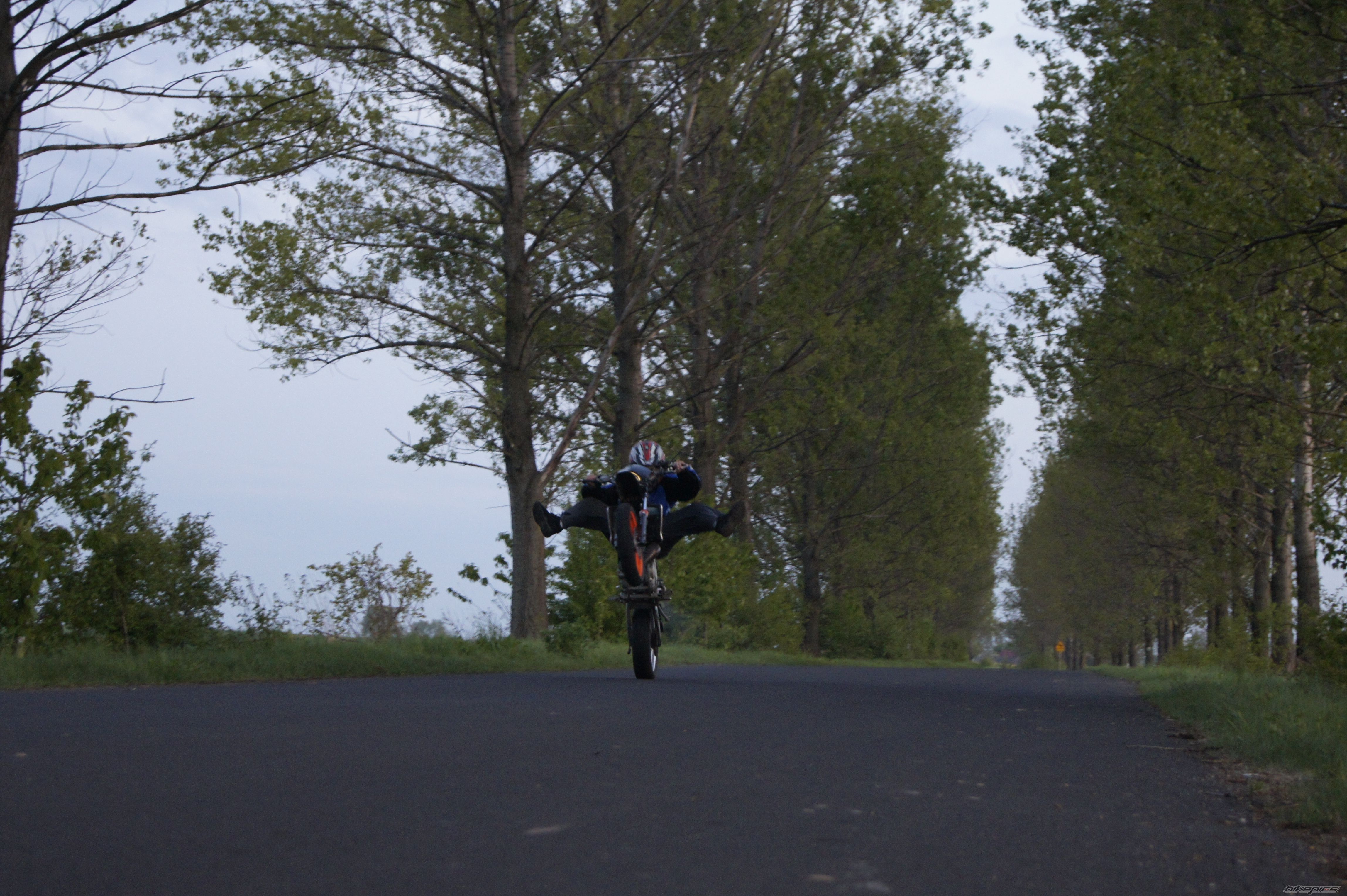 Photo 2204387