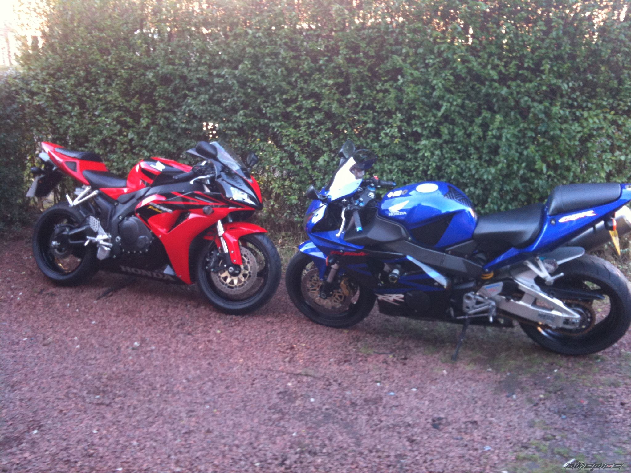 Photo 2204595