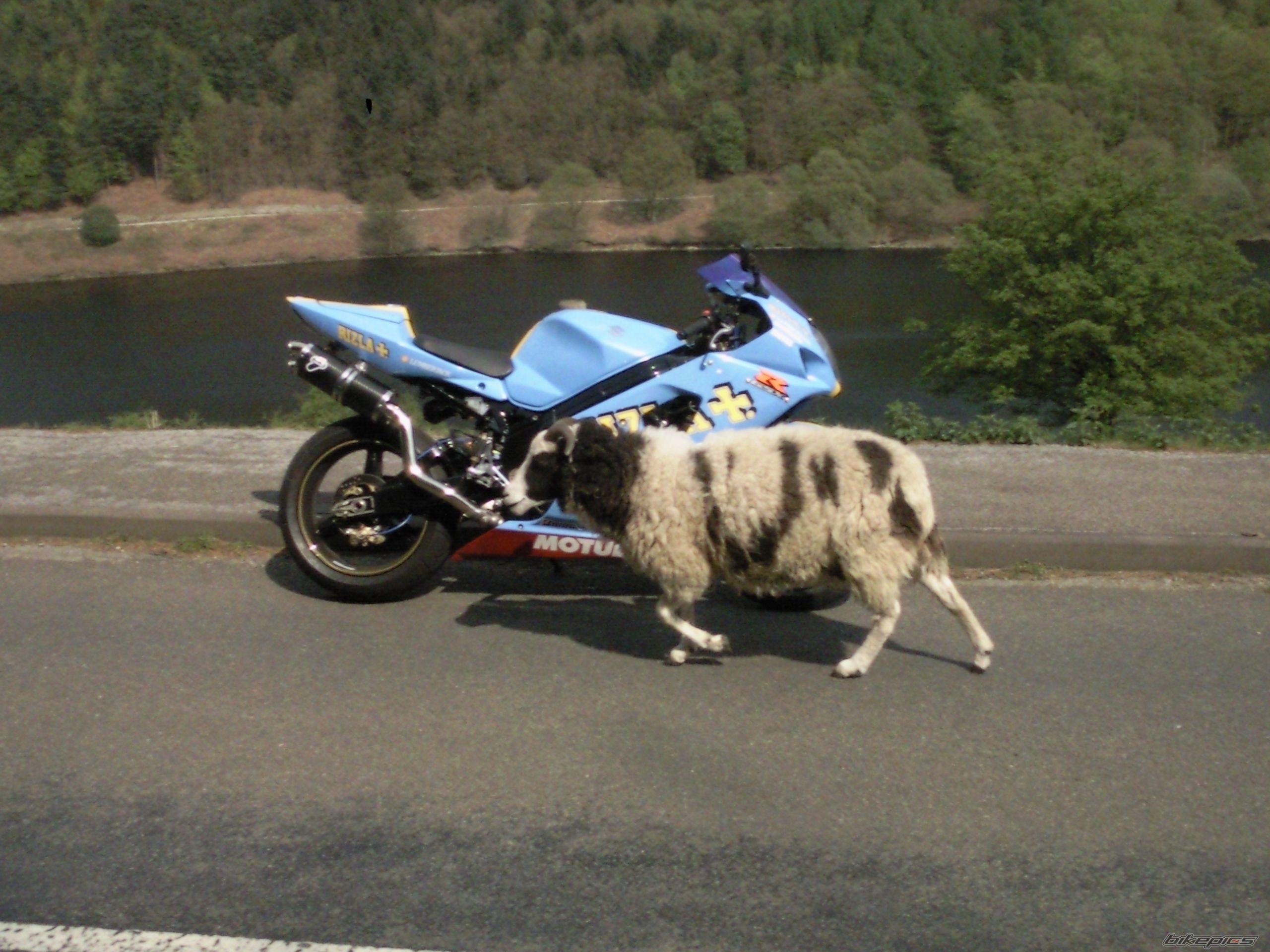 Photo 2204598