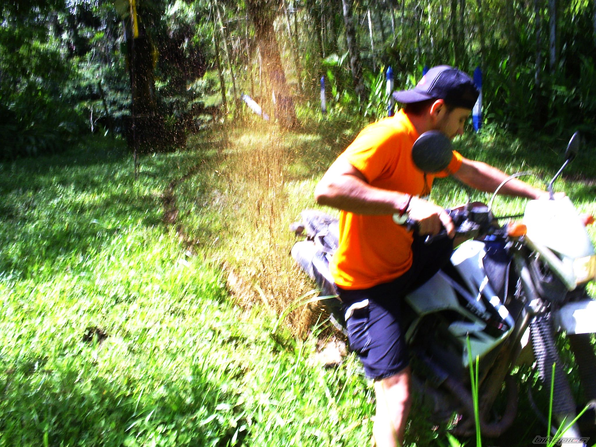 Photo 2204733