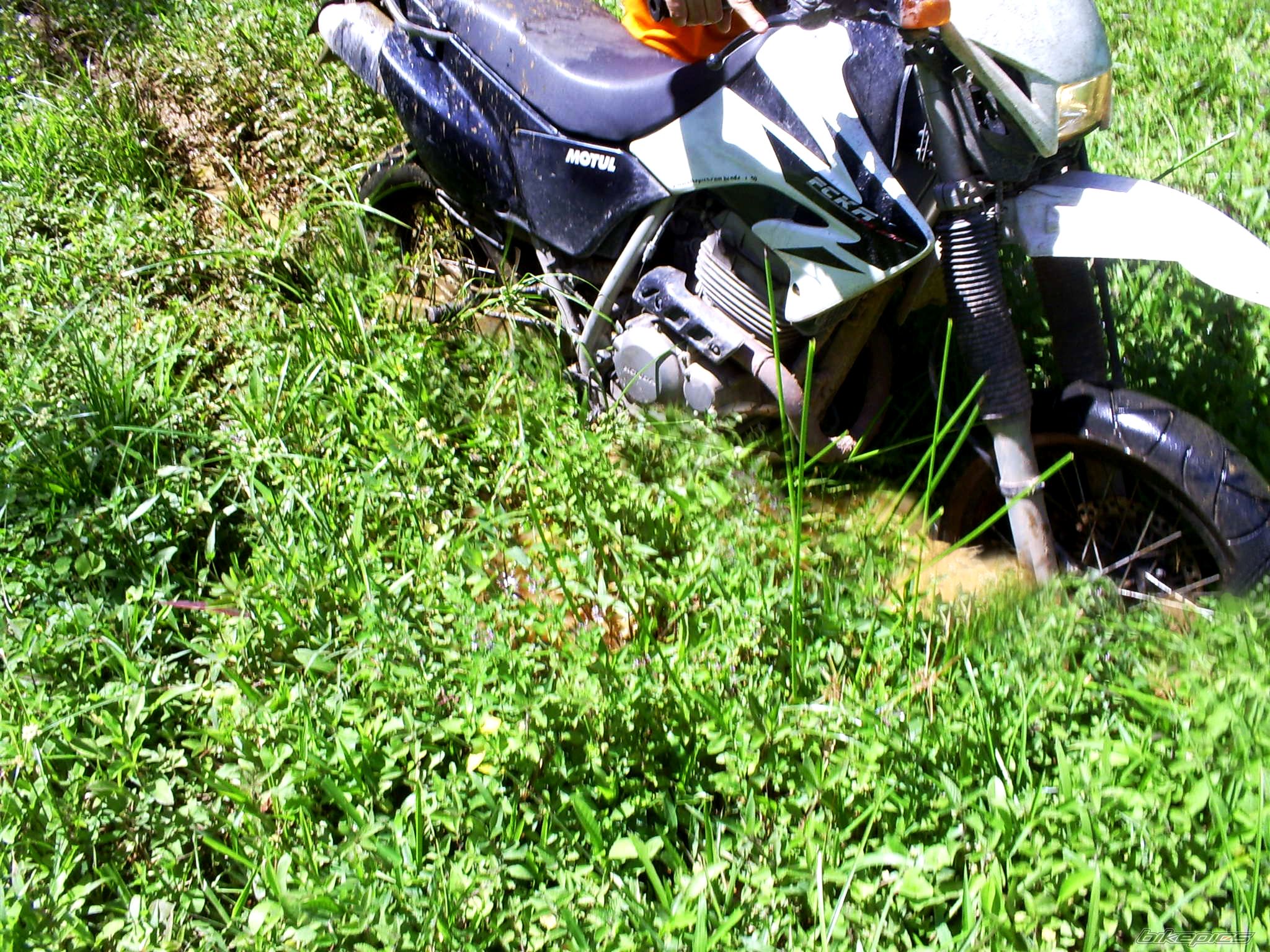 Photo 2204734