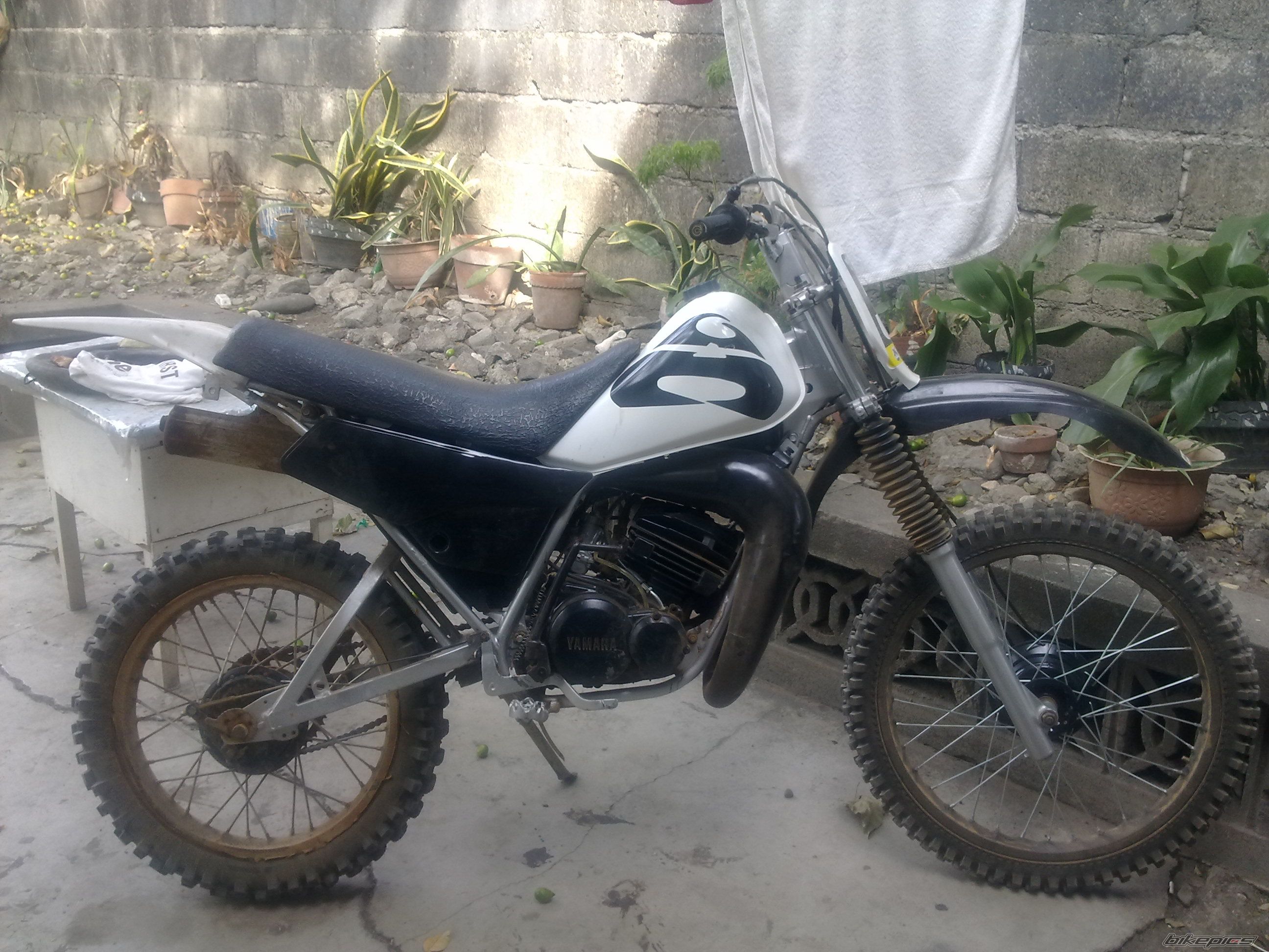 Photo 2204780