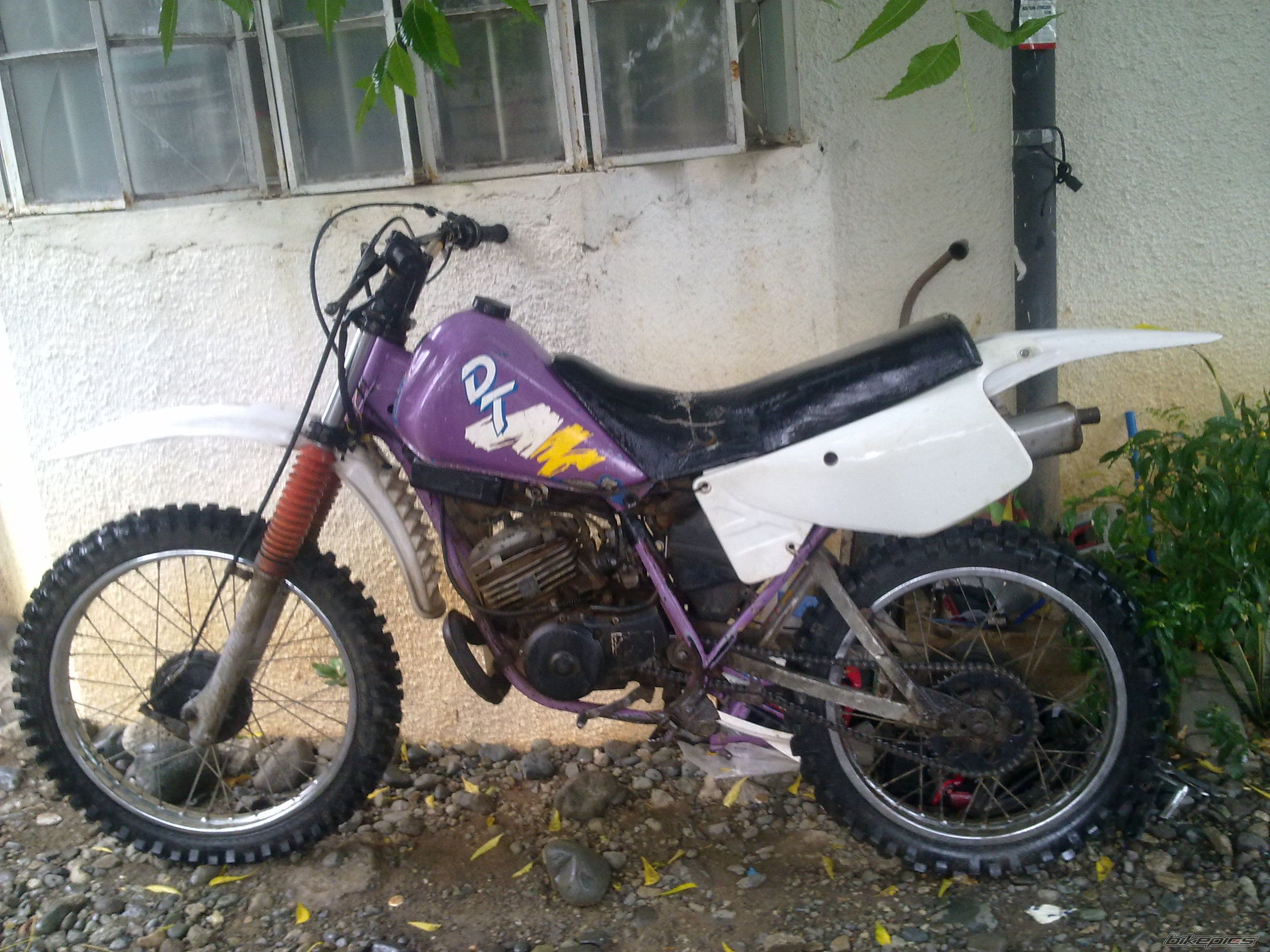 Photo 2204781