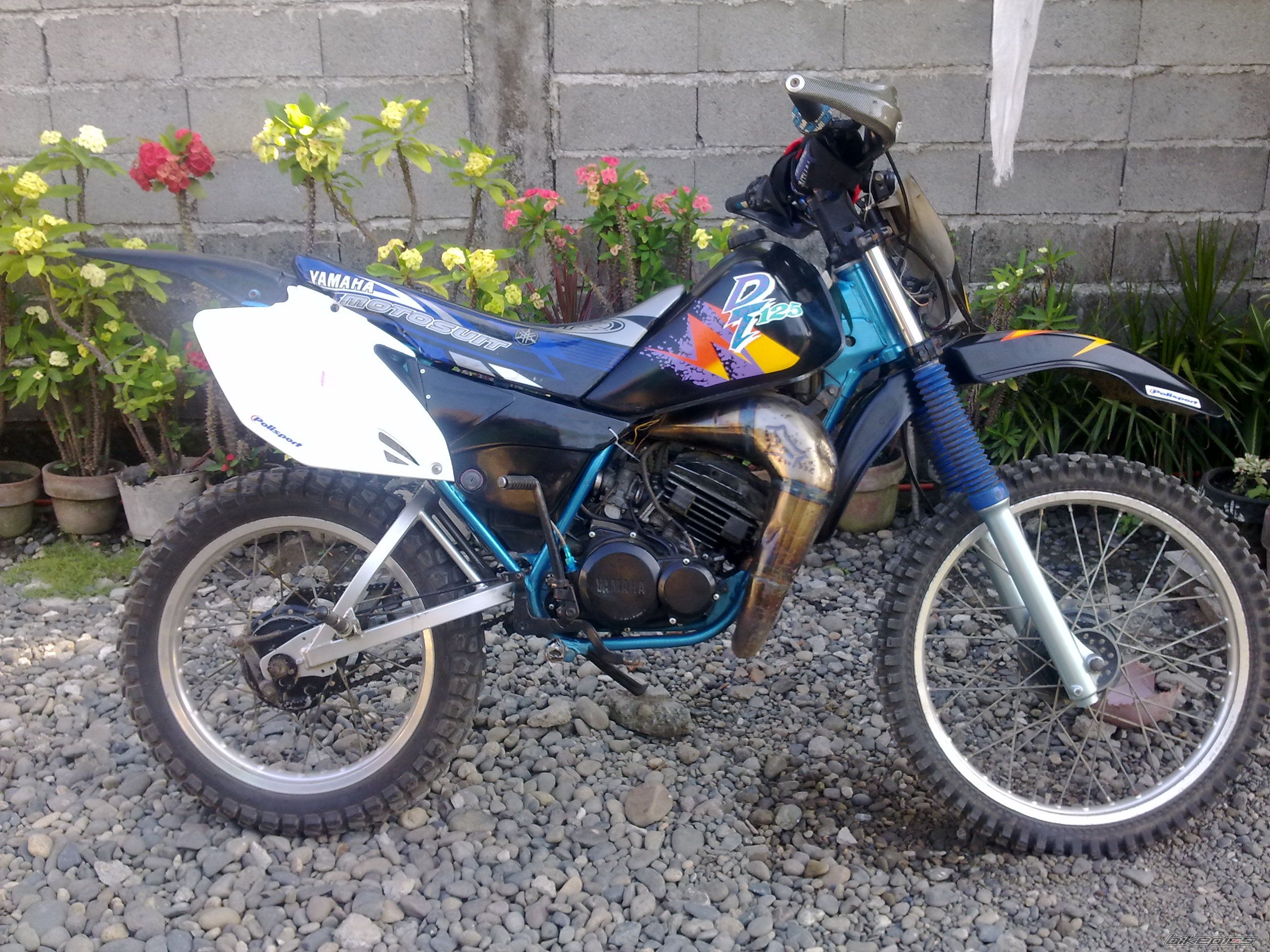 Photo 2204782