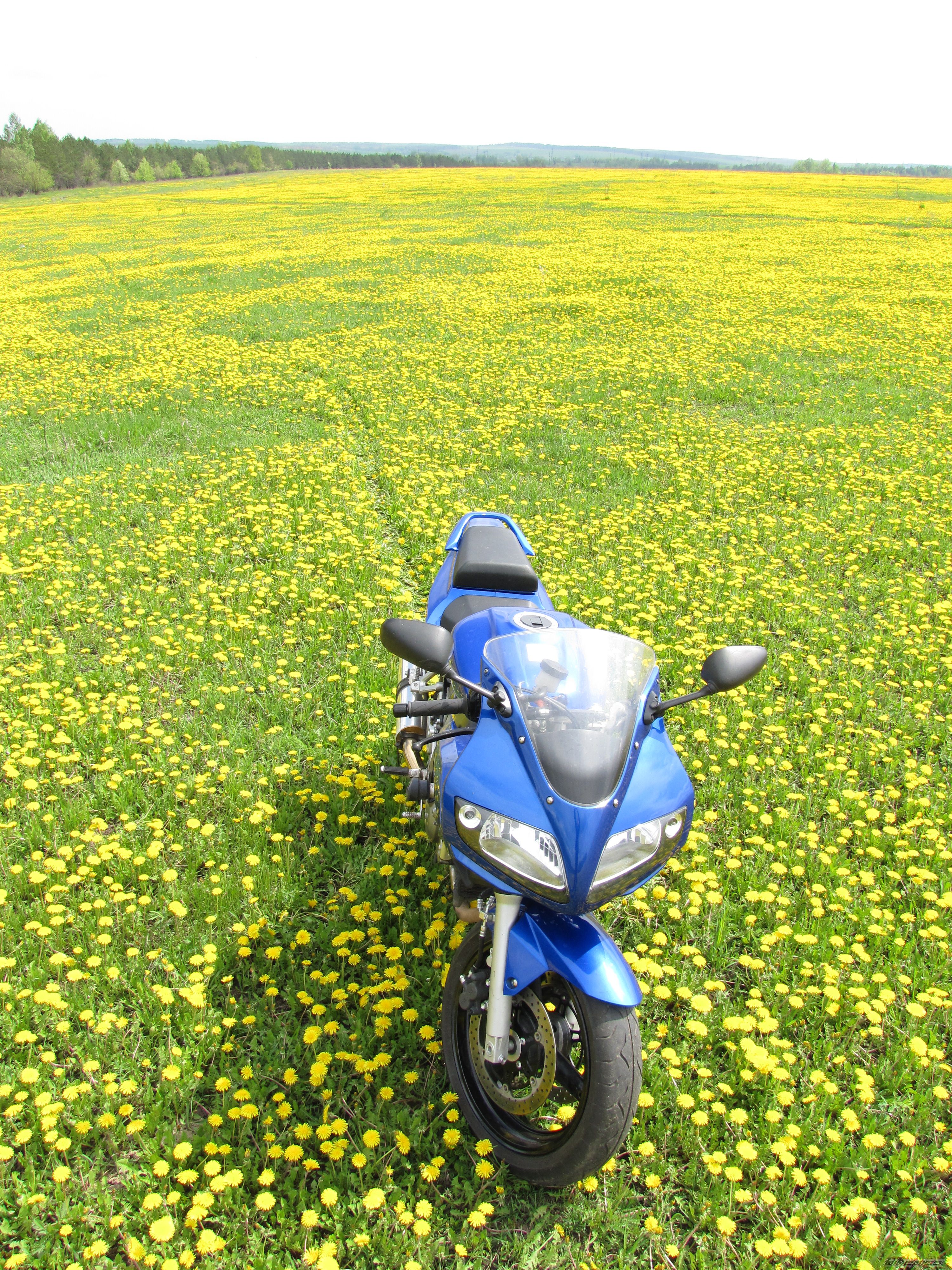 Photo 2204784