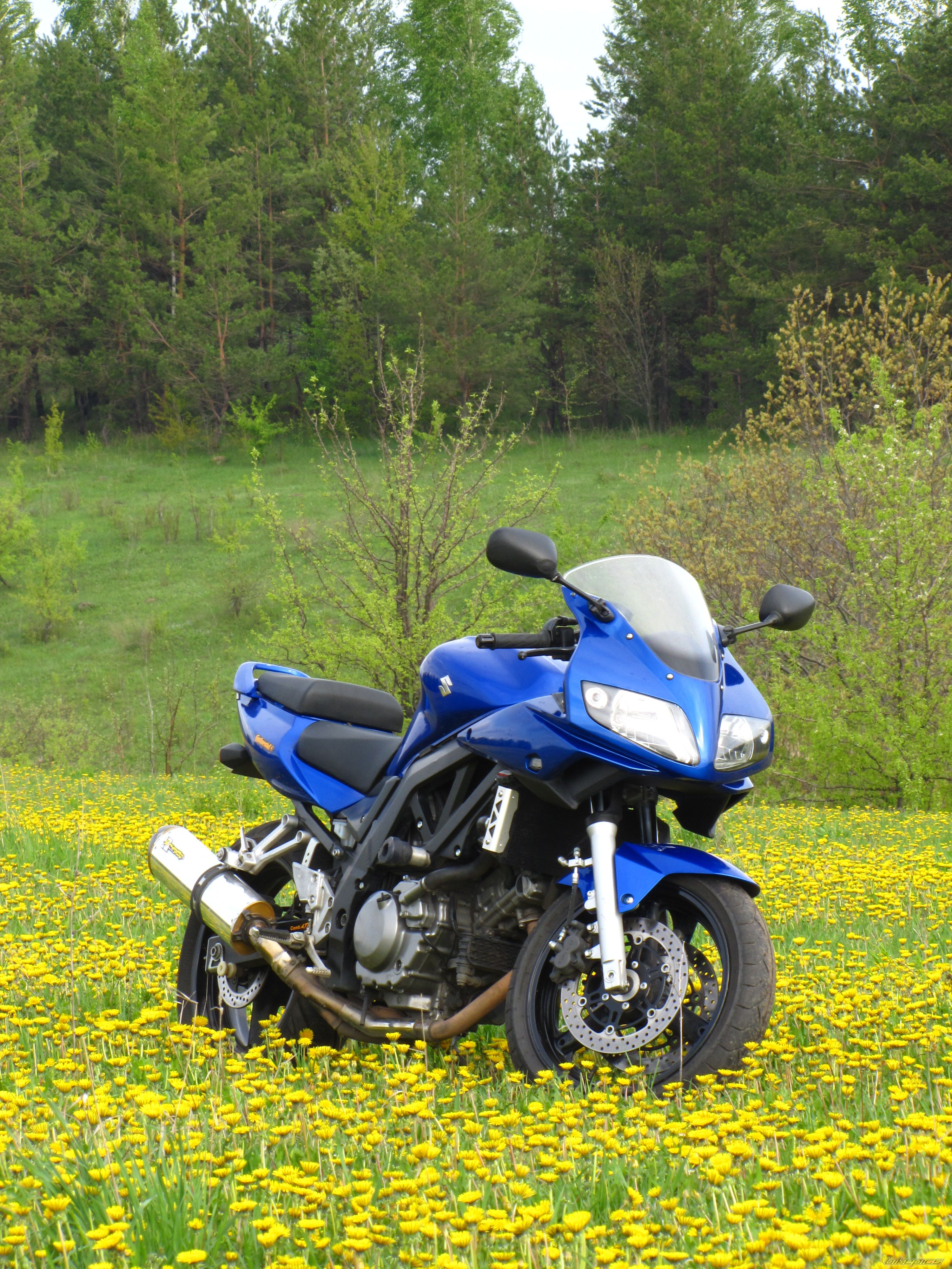 Photo 2204789