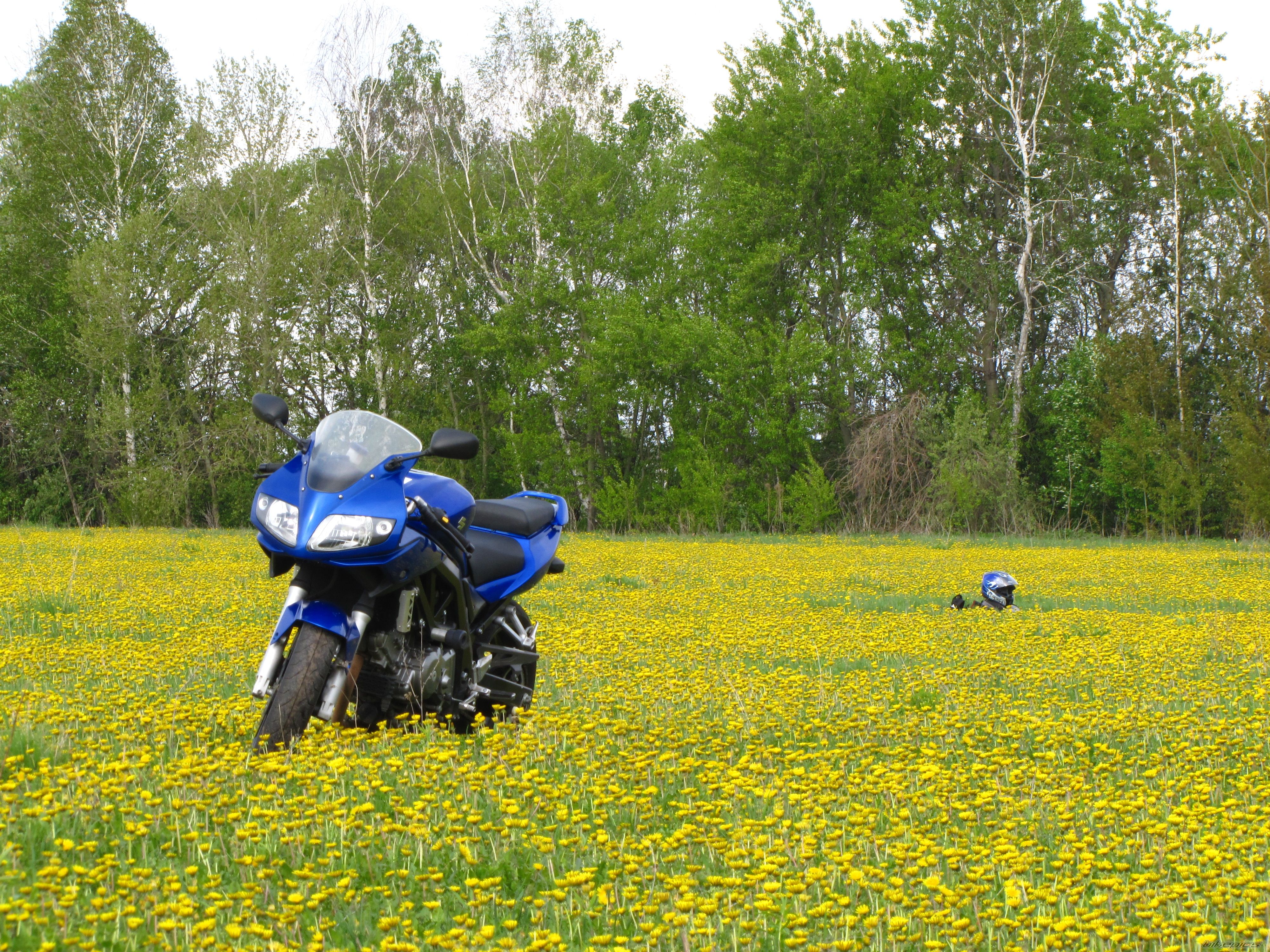 Photo 2204790
