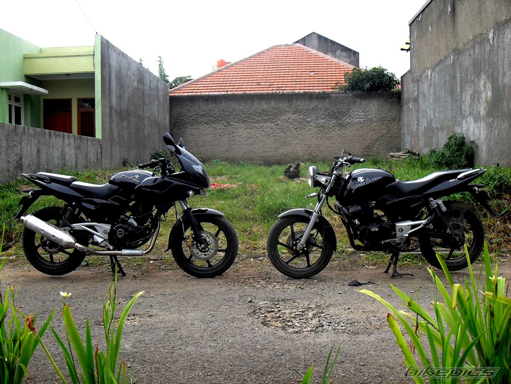Photo 2204801