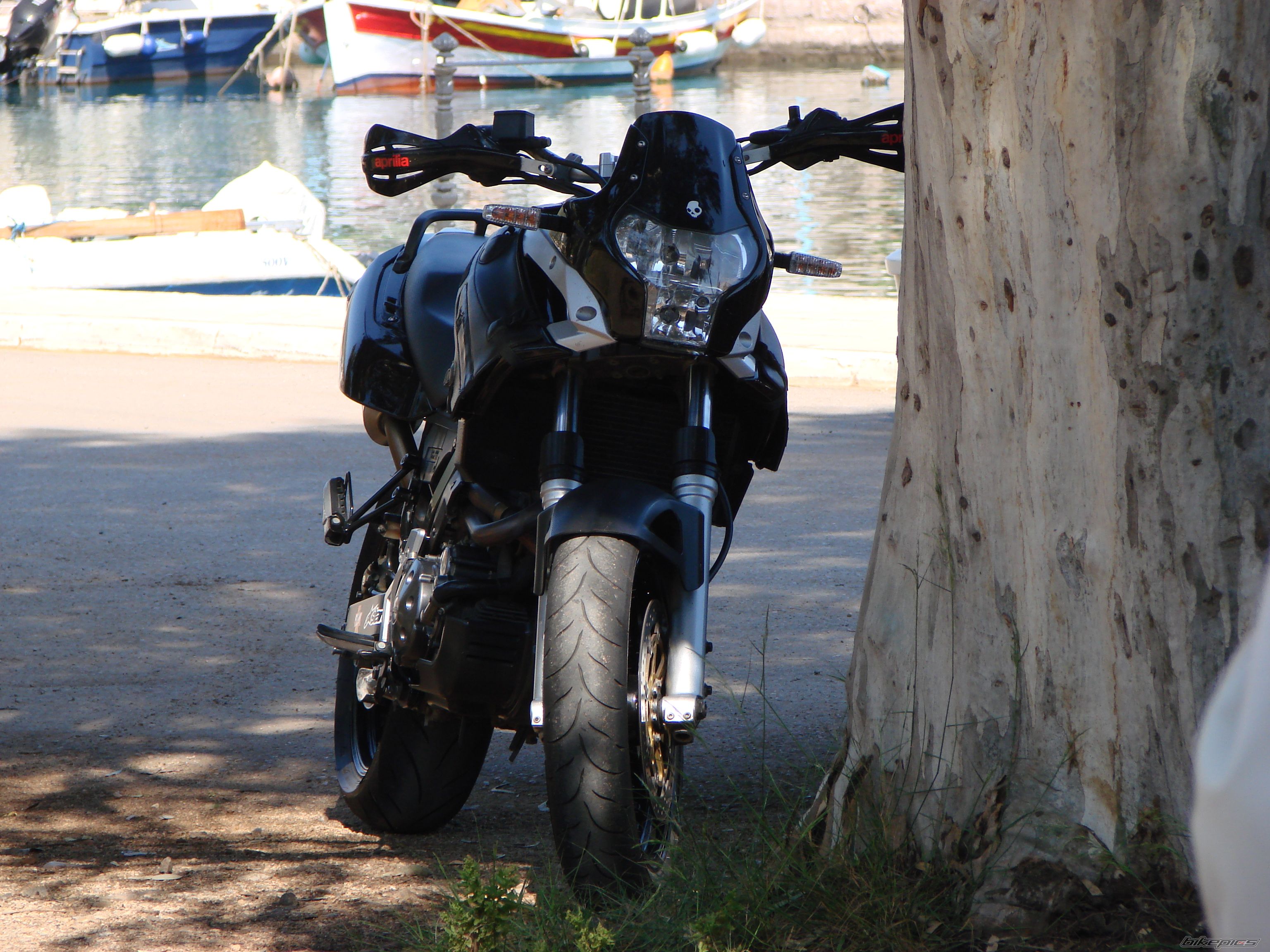 Photo 2204864