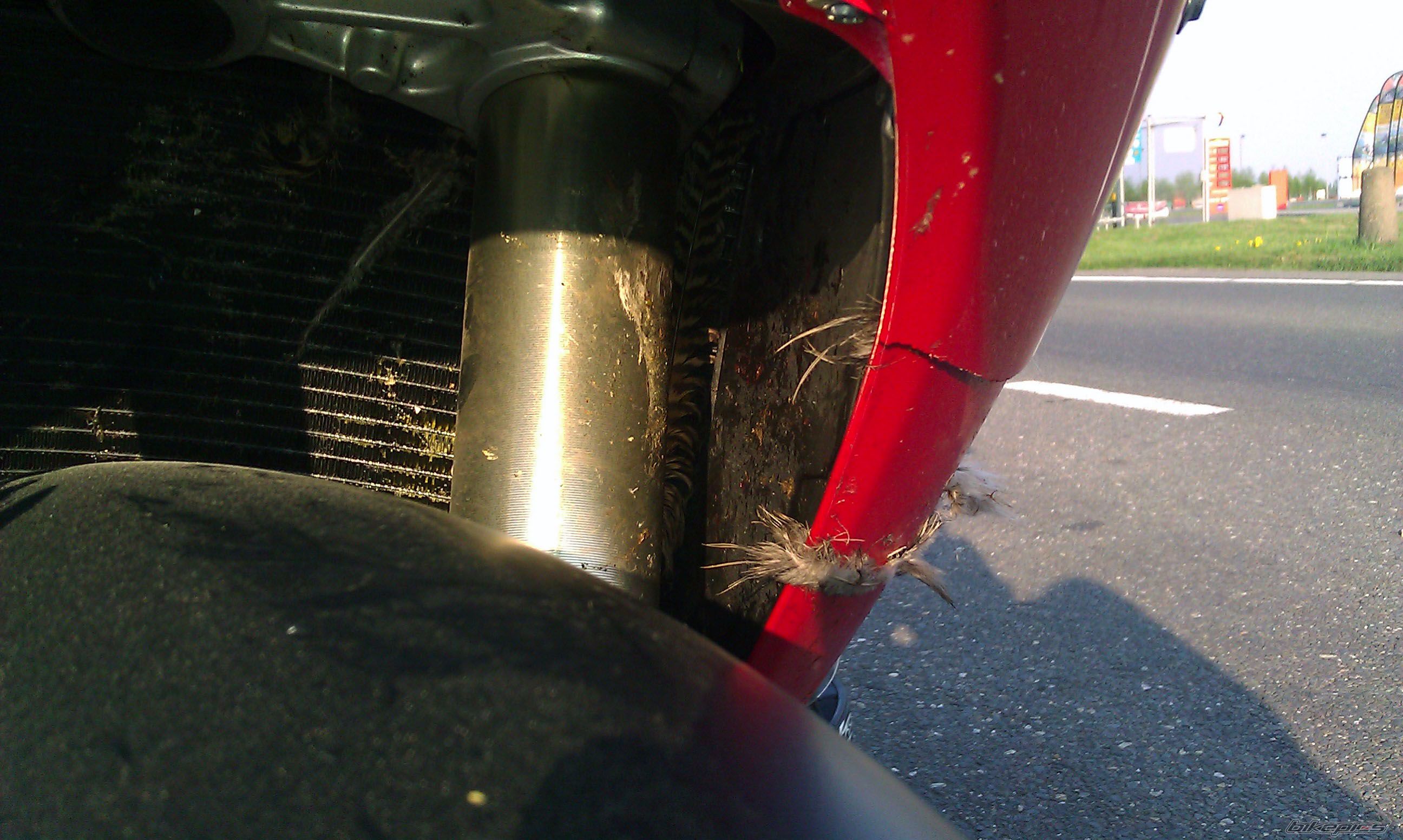 Bike Photo 2204939