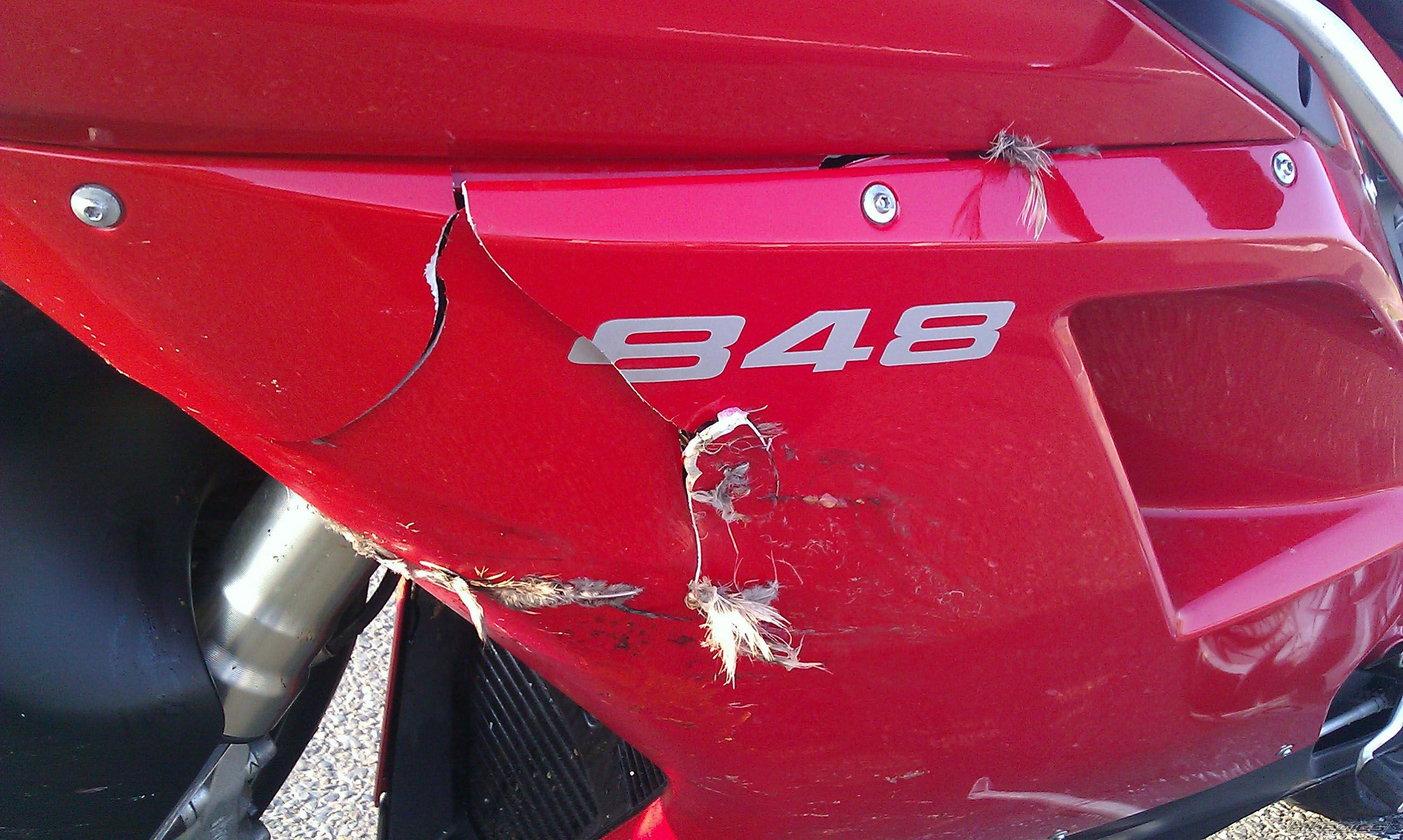 Bike Photo 2204940