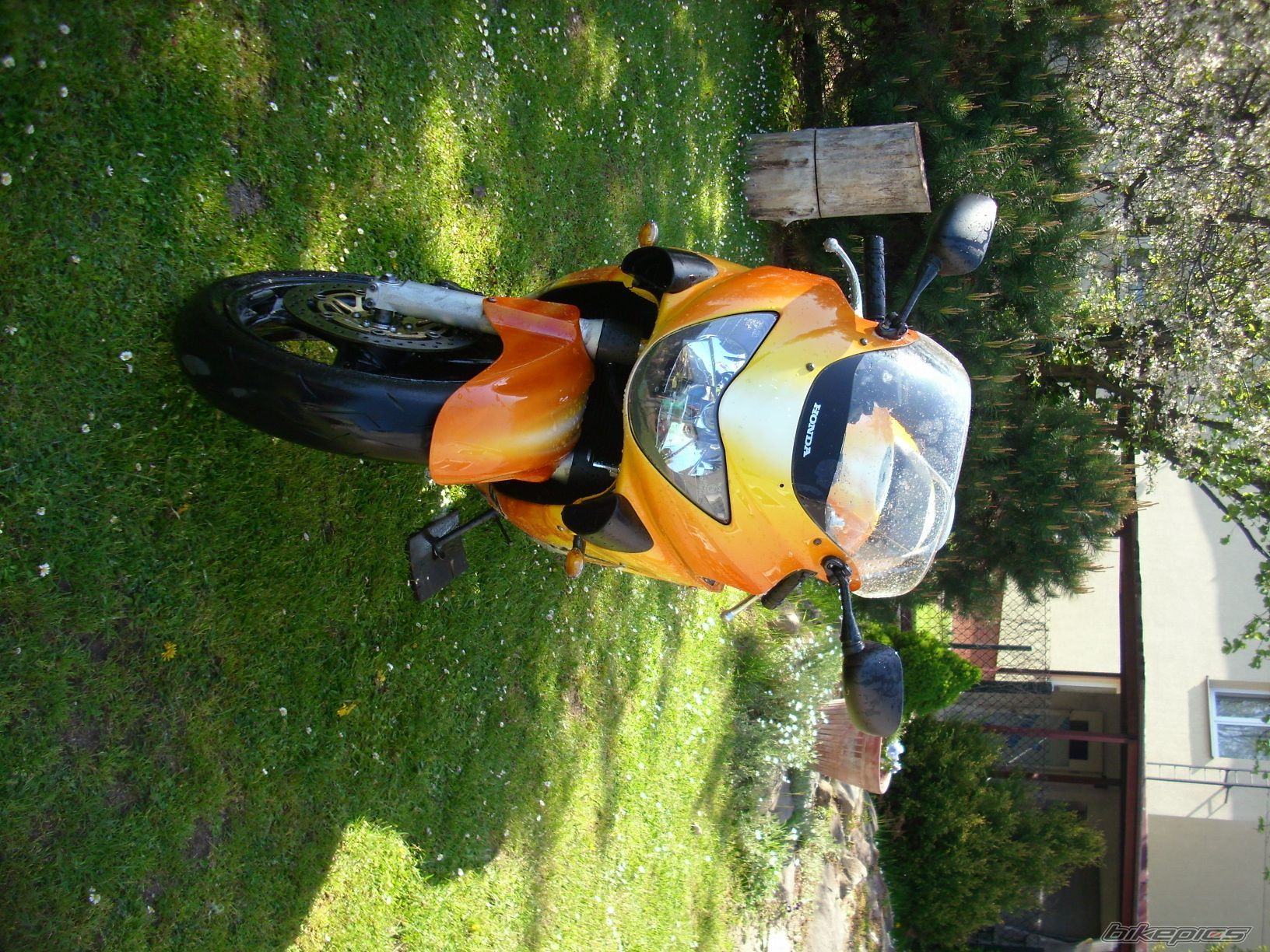 Photo 2204957