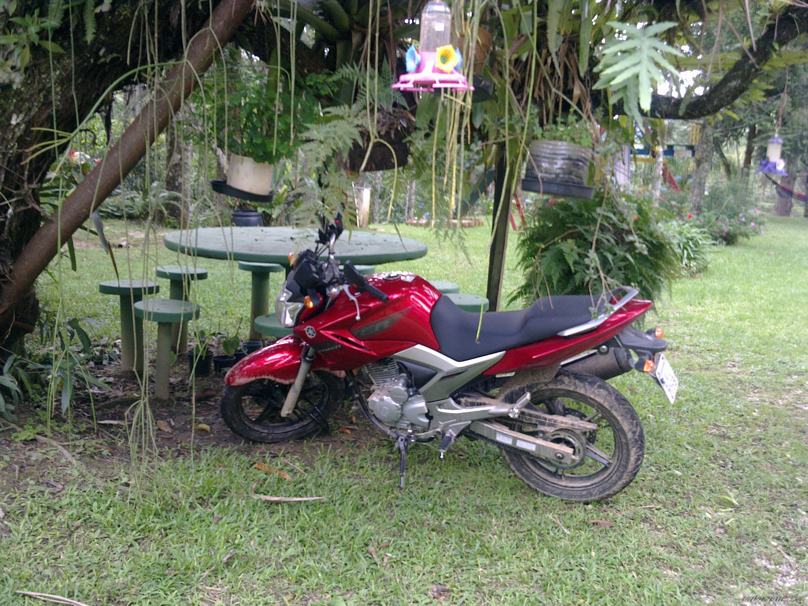Photo 2205225