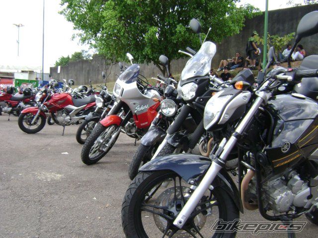Photo 2205240