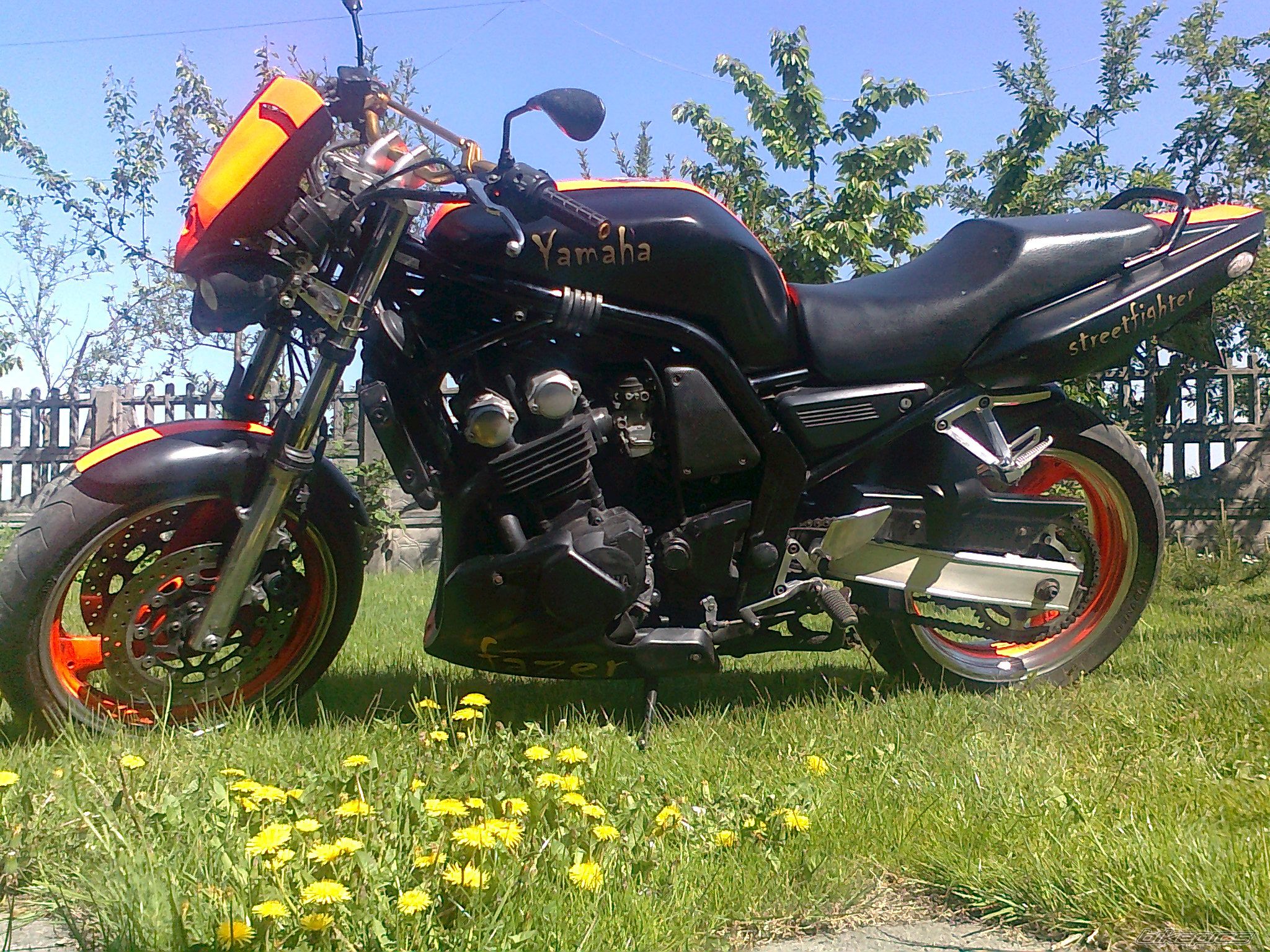 Photo 2205289