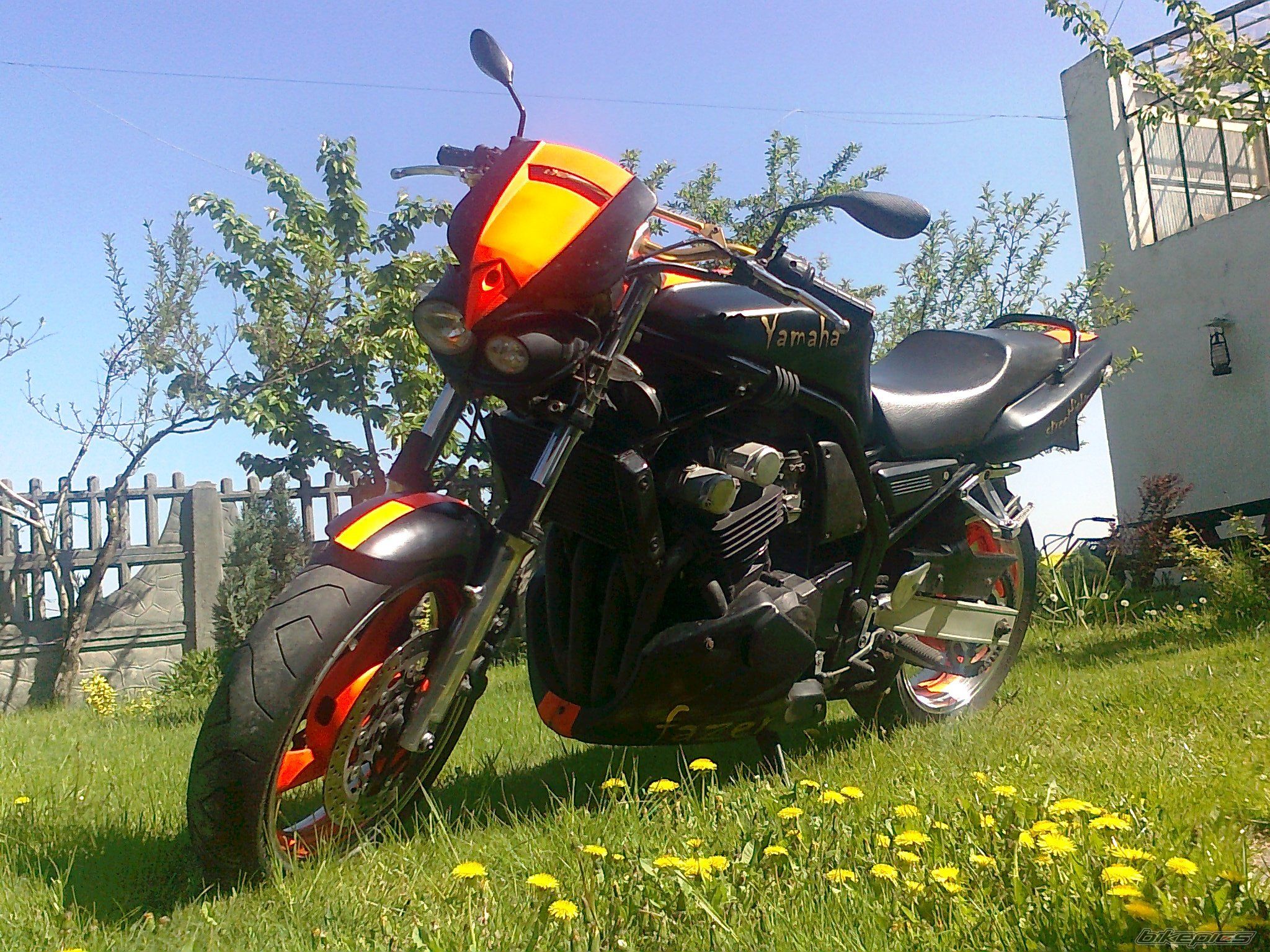 Photo 2205293