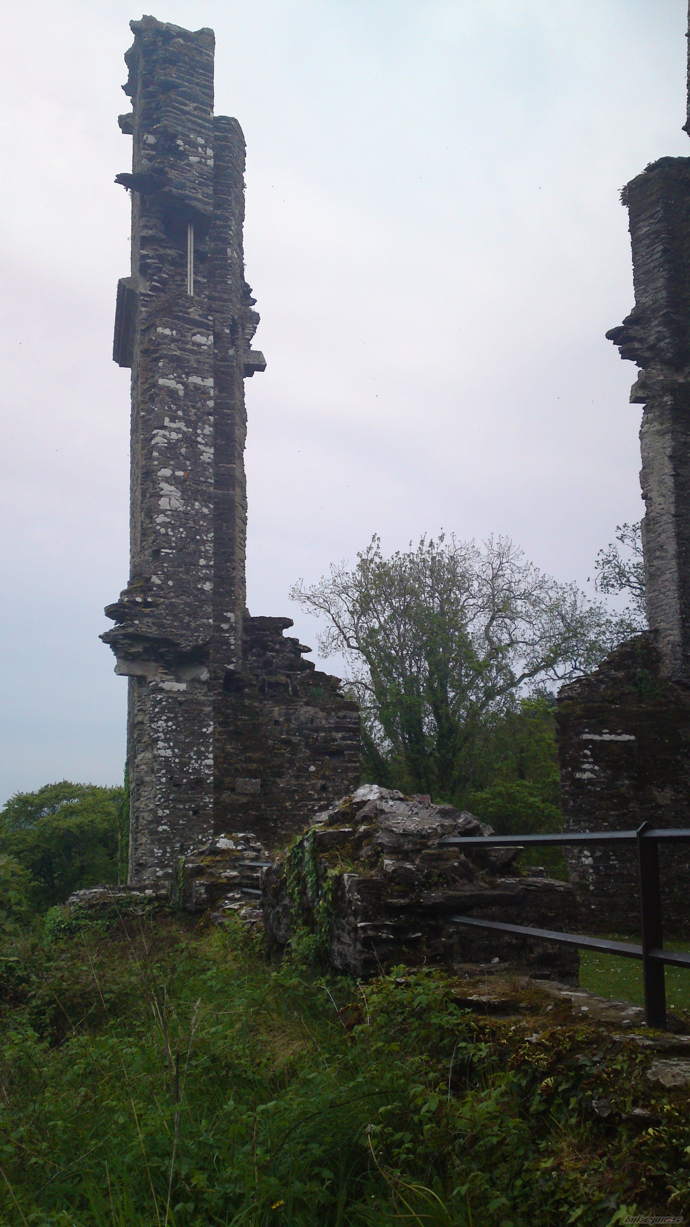 Photo 2205405