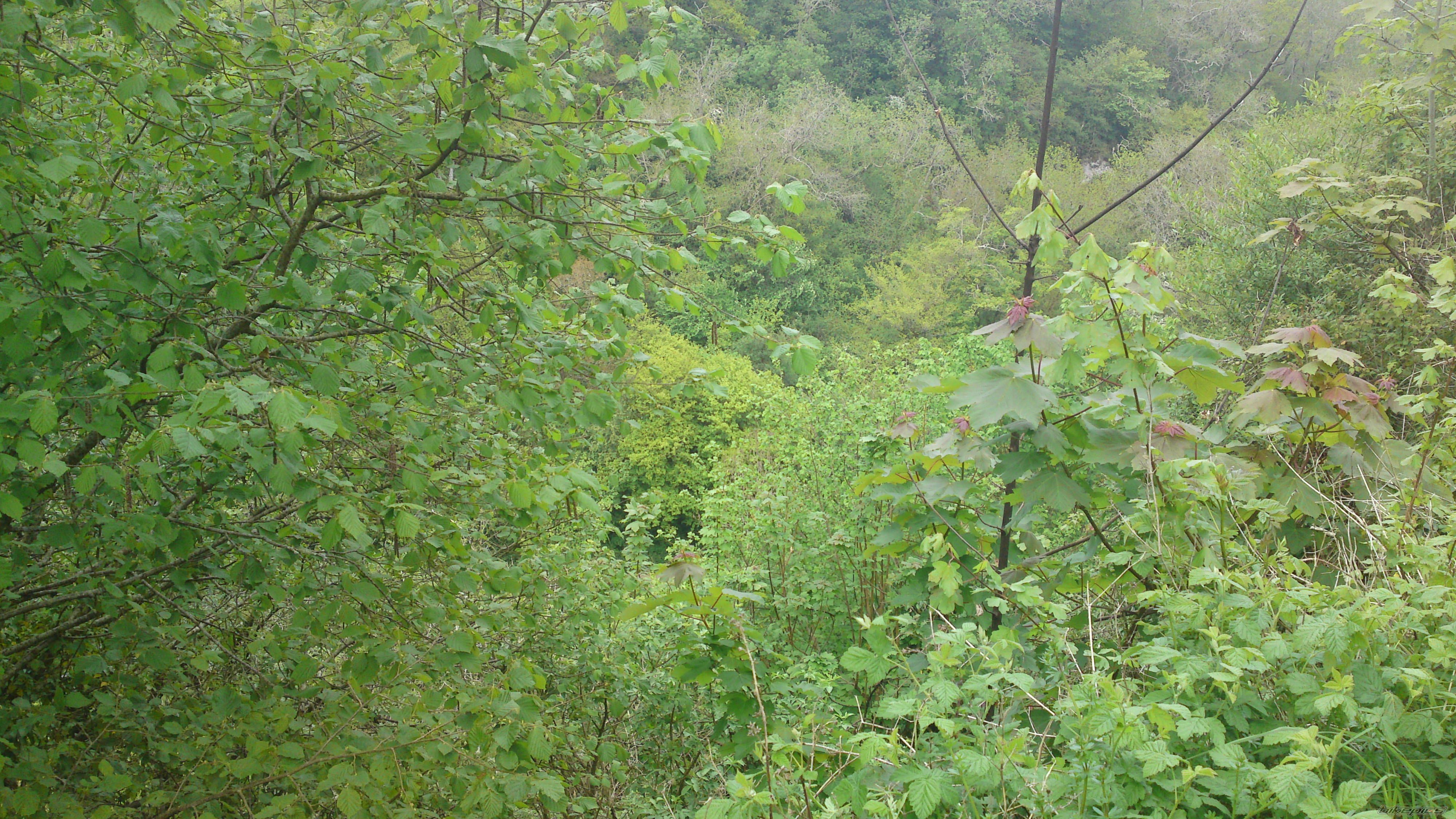 Photo 2205406