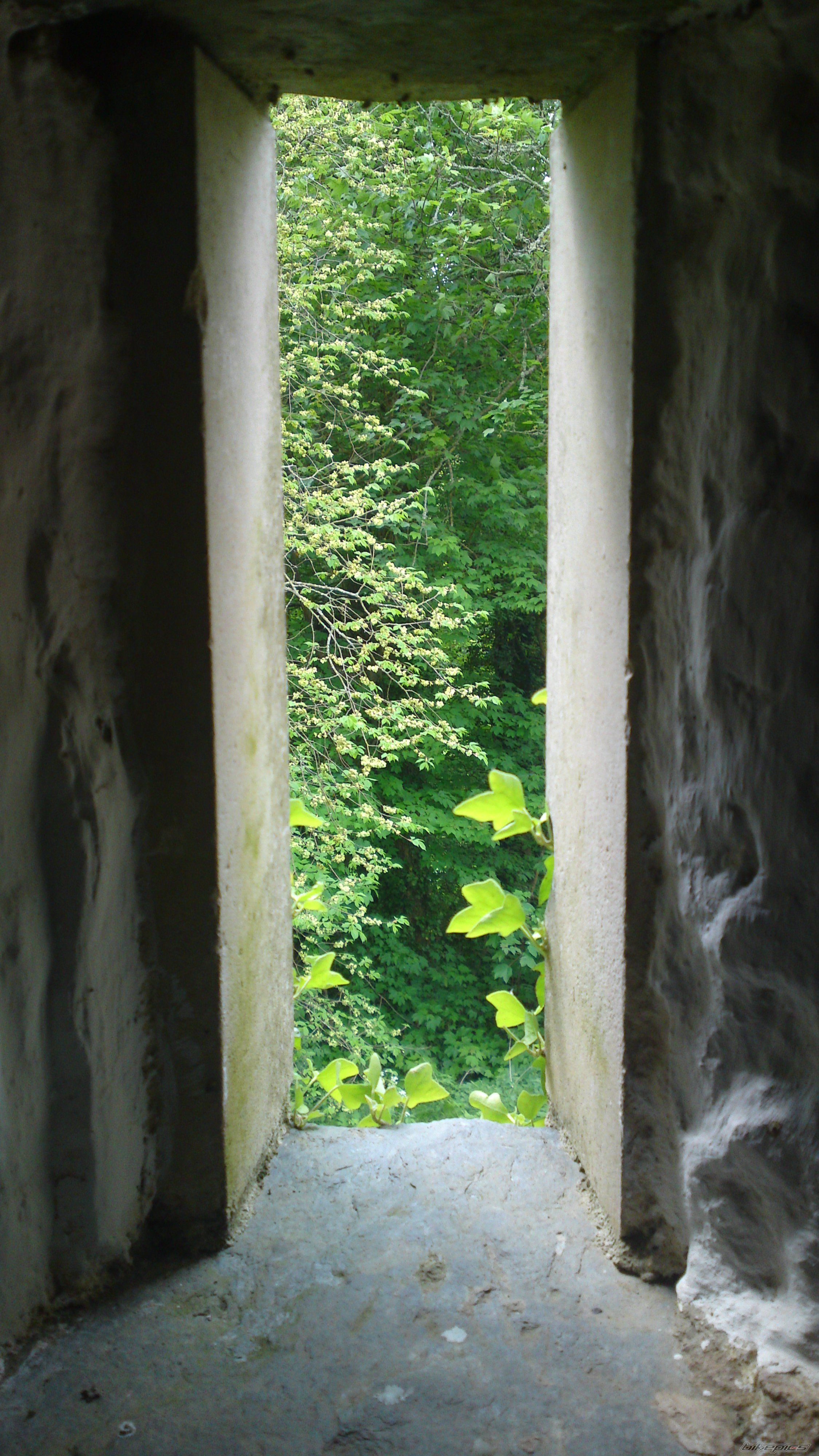 Photo 2205452