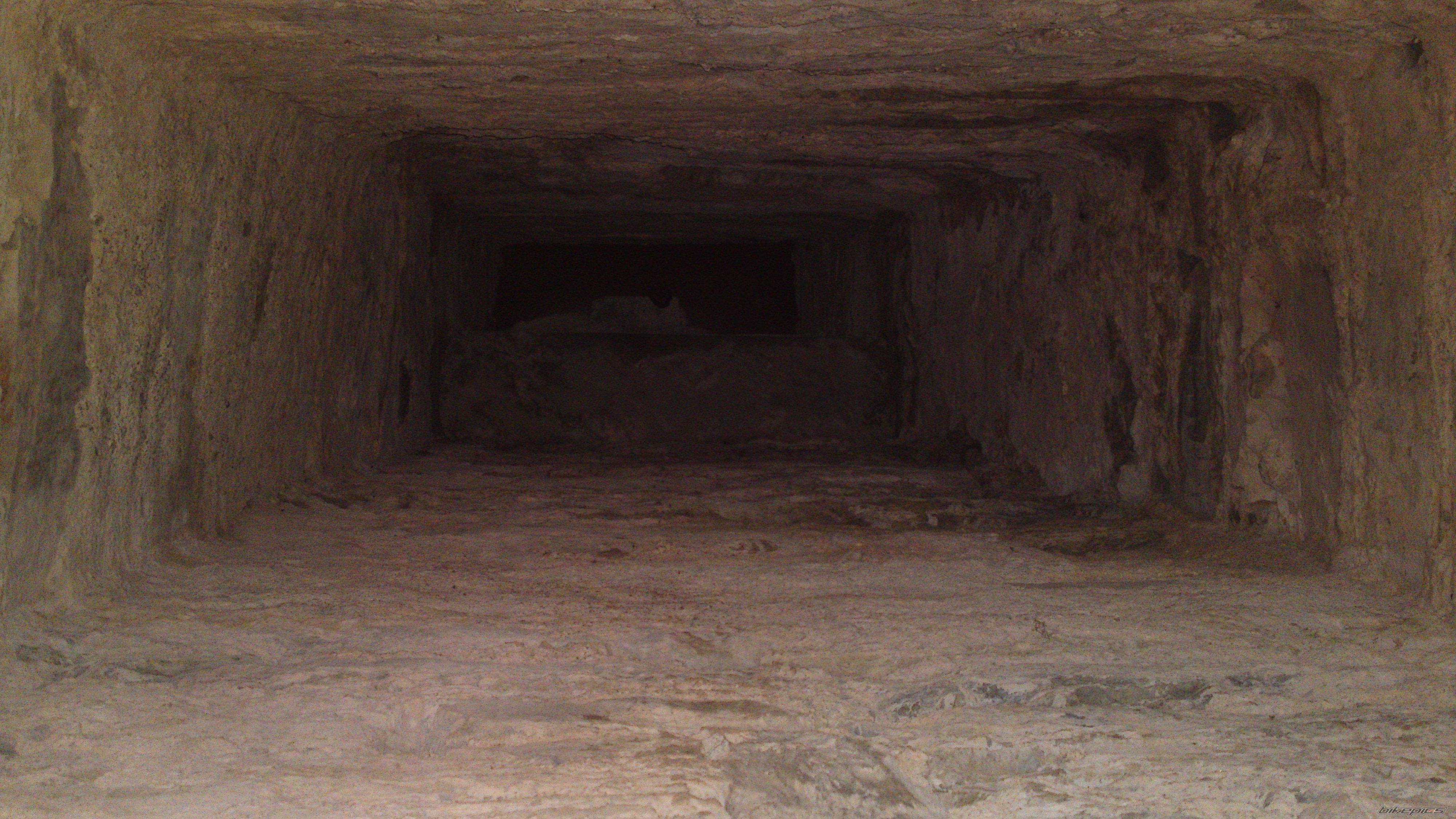 Photo 2205455