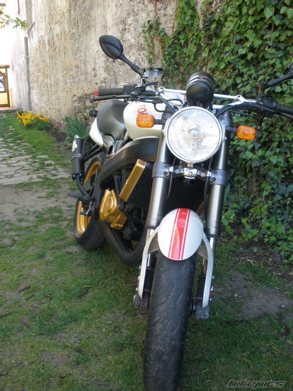 Photo 2205520