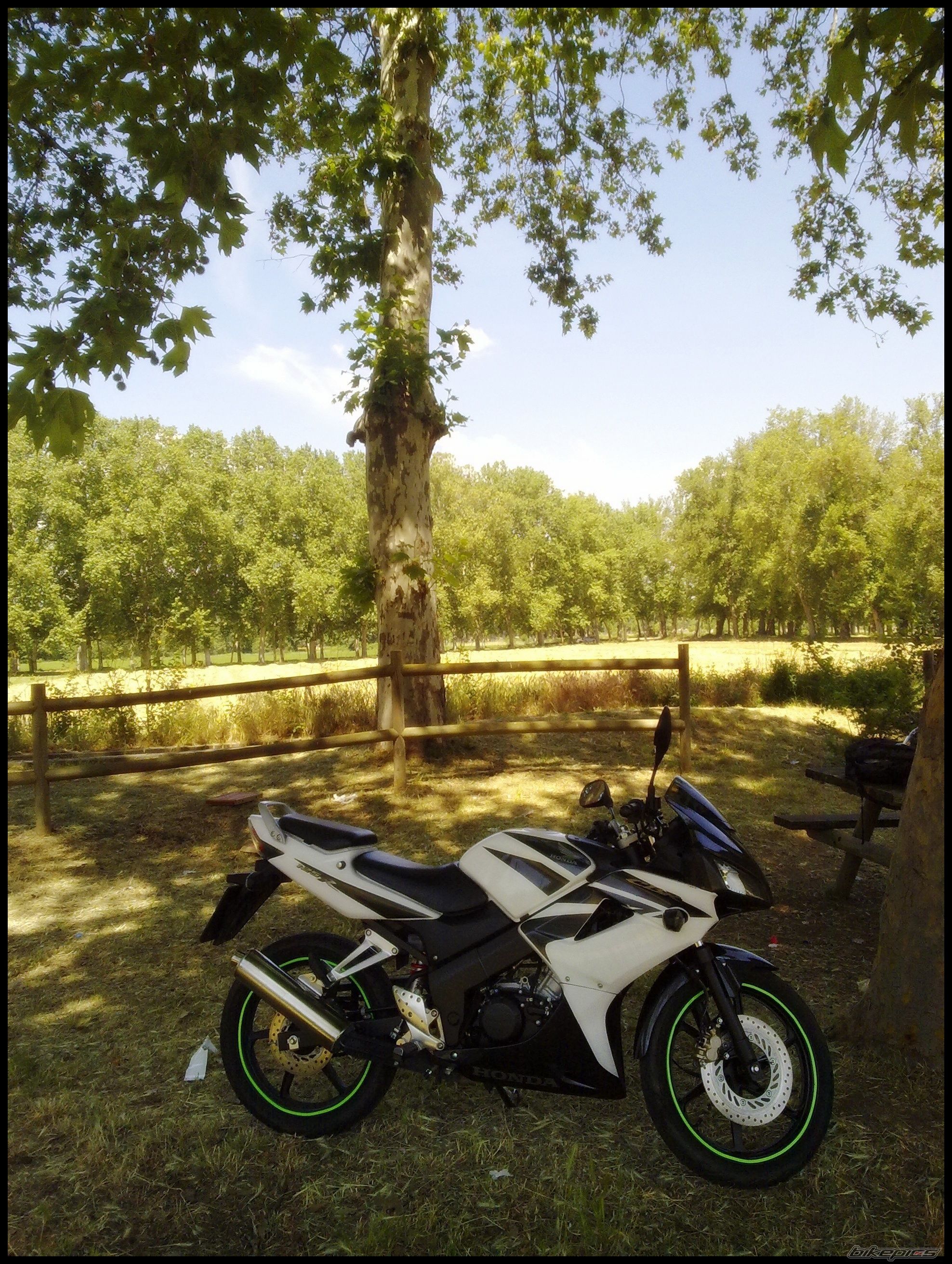 Photo 2205701