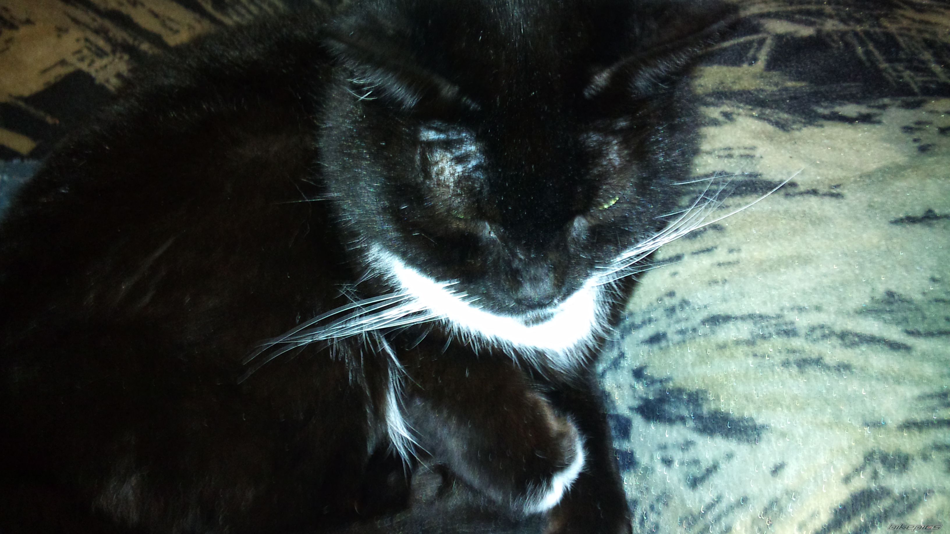 Photo 2205707