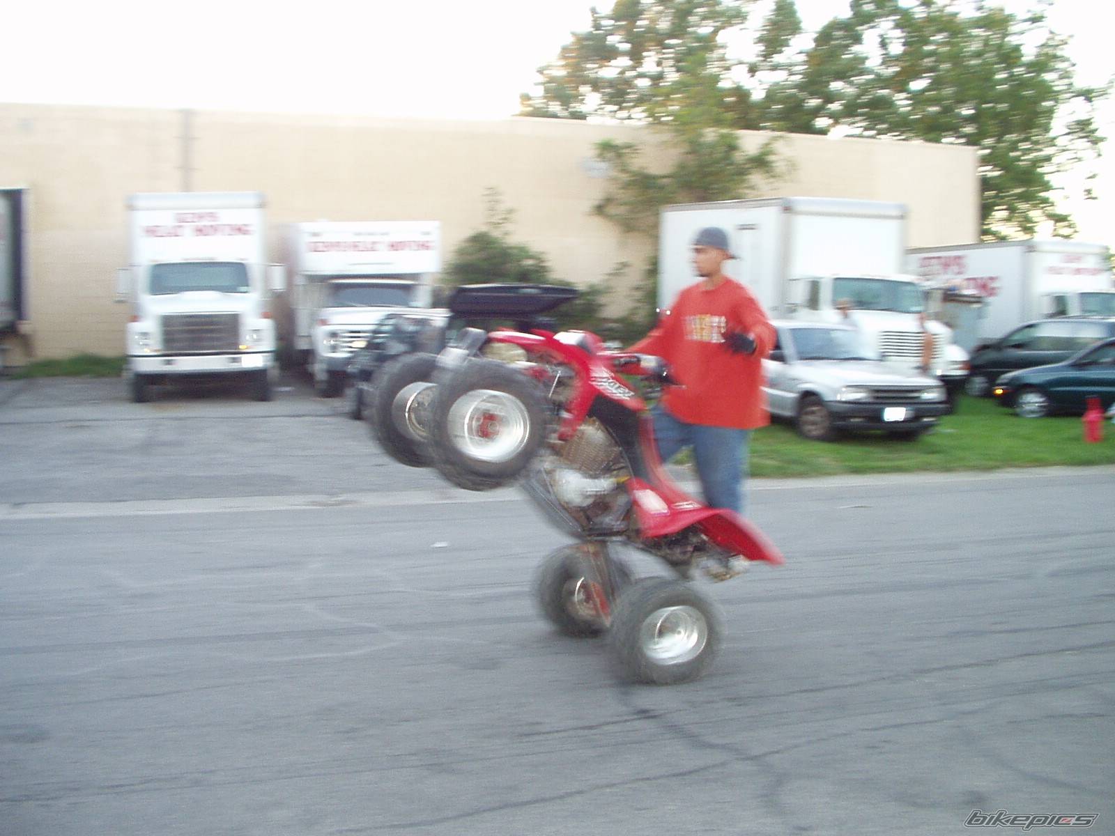 Photo 220573
