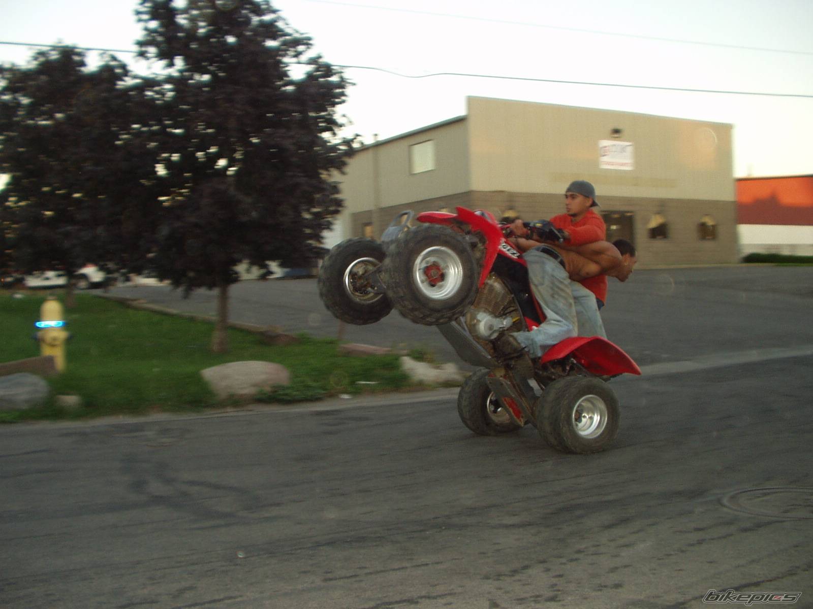 Photo 220574