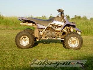 Photo 220579