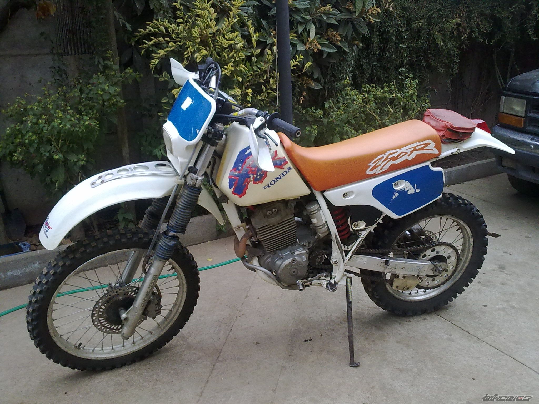Photo 2205985