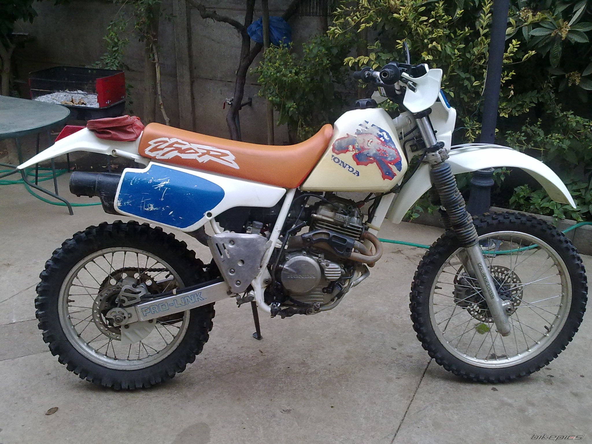 Photo 2205986