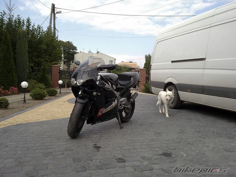 Photo 2205994