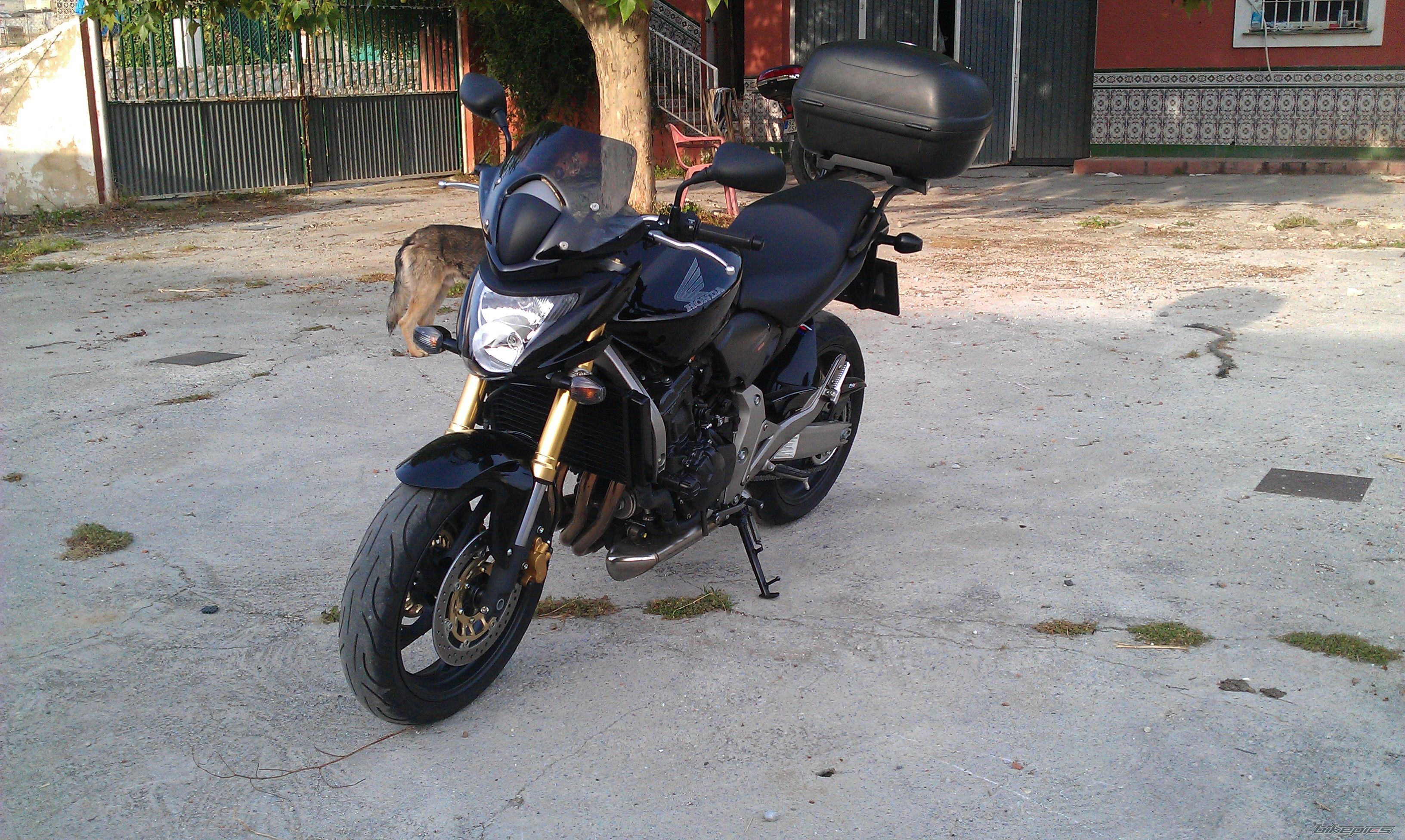 Photo 2206004