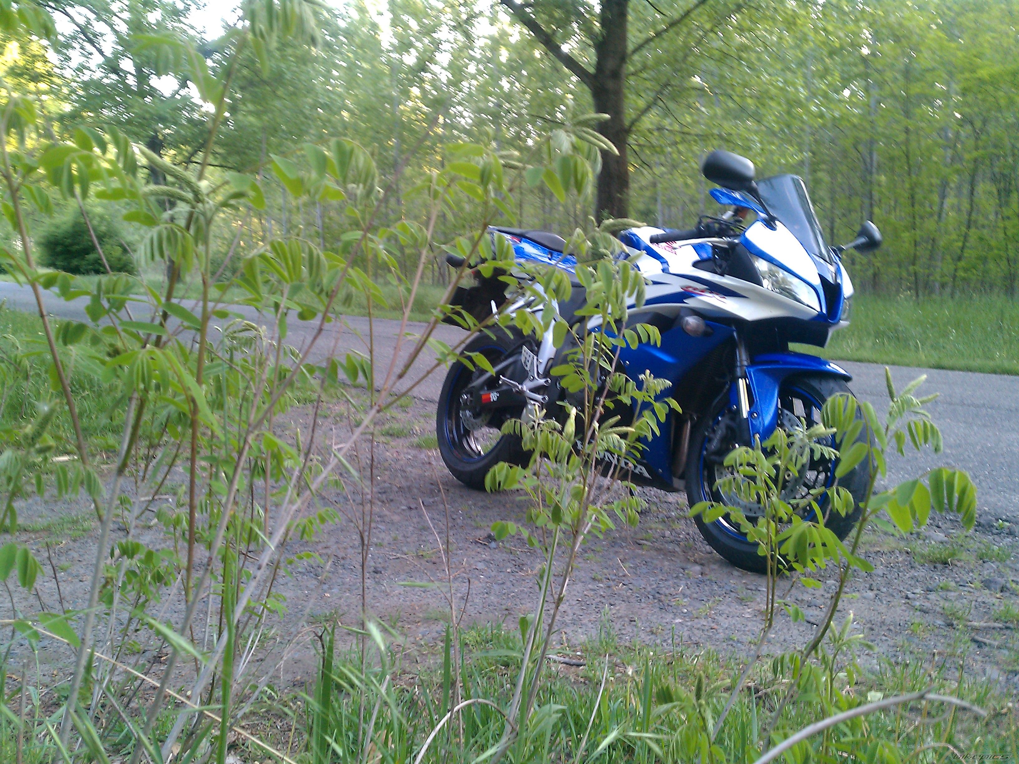 Photo 2206173