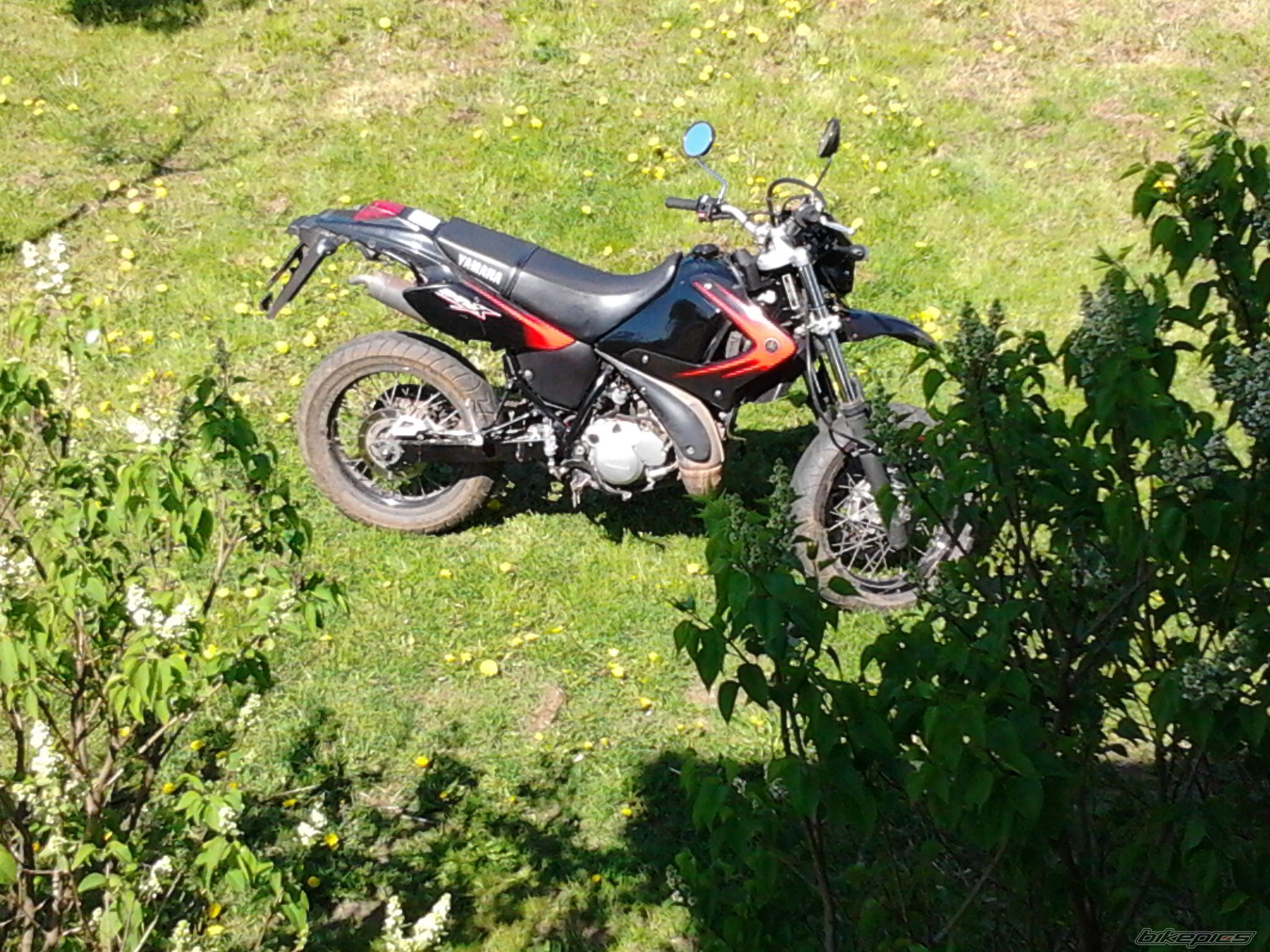 Photo 2206195
