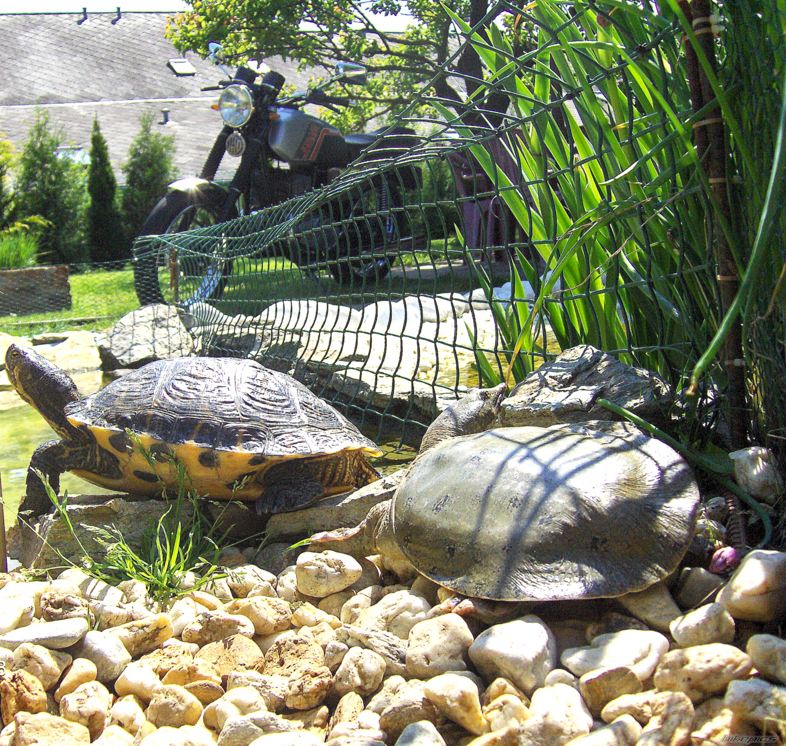 Photo 2206206