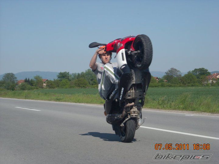 Photo 2206338